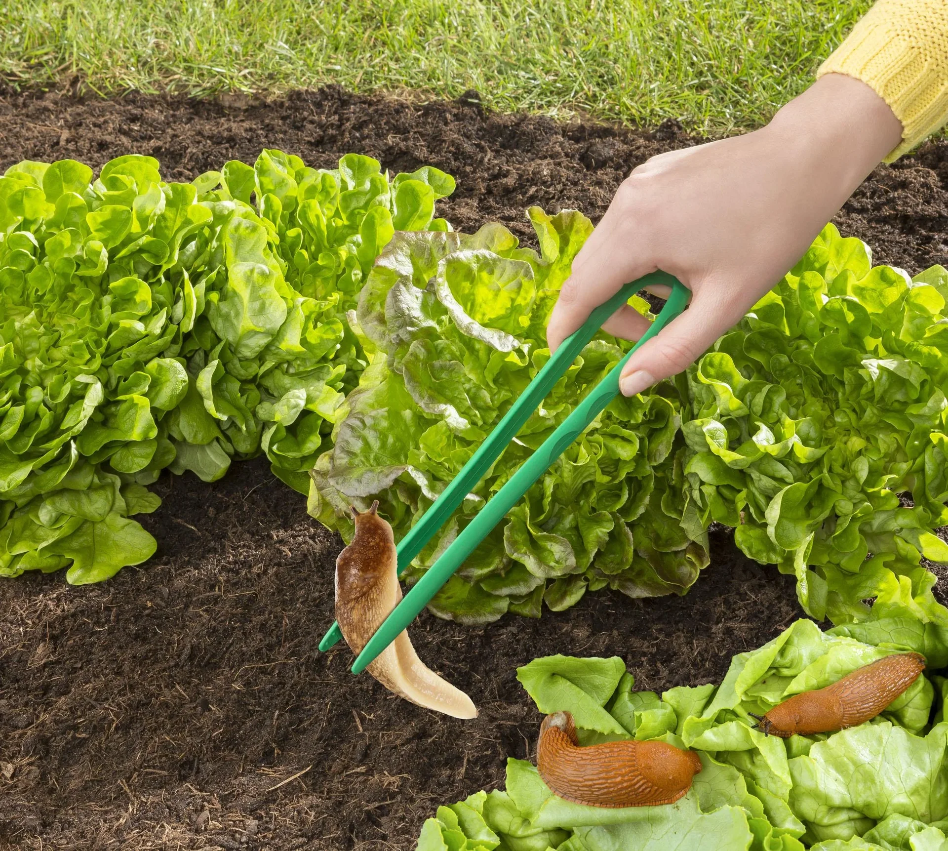 Schneckenzange, Kunststoff, Grün - 0