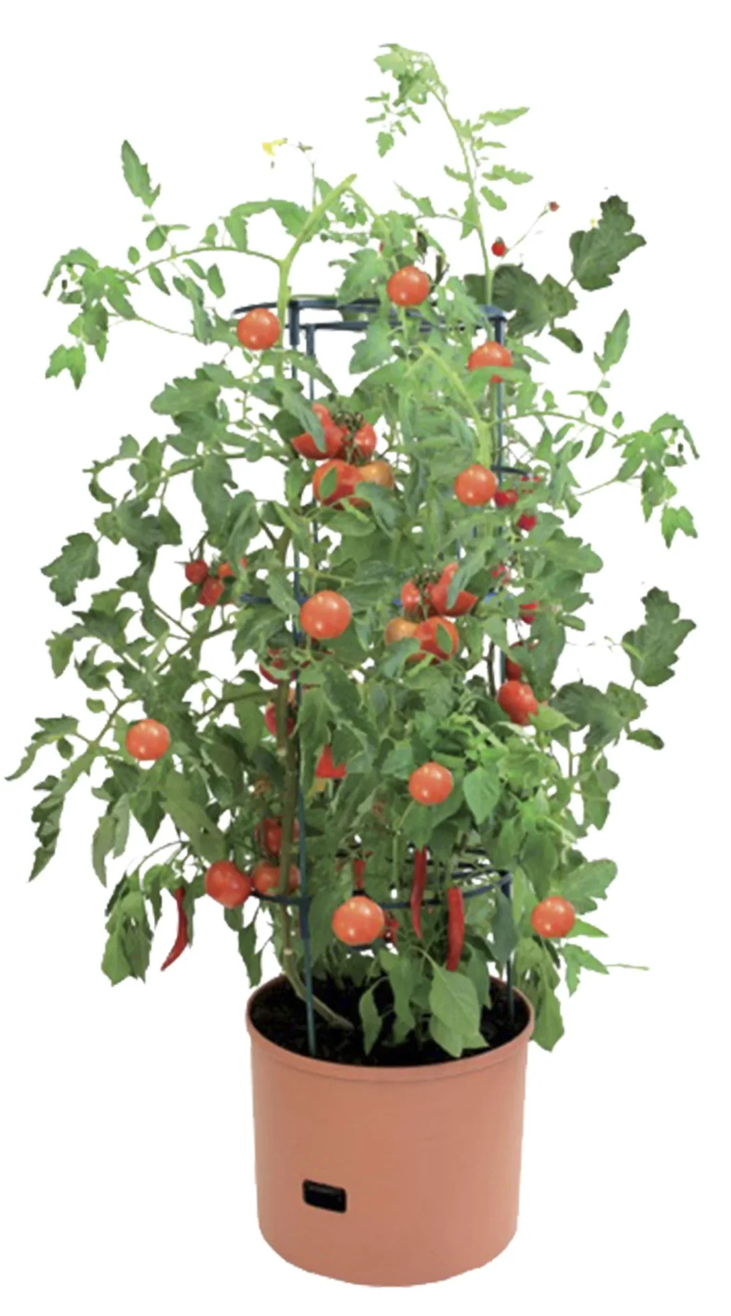 Pflanzturm "Maxitom Jumbo", terrakotta, 1 Stück - 1