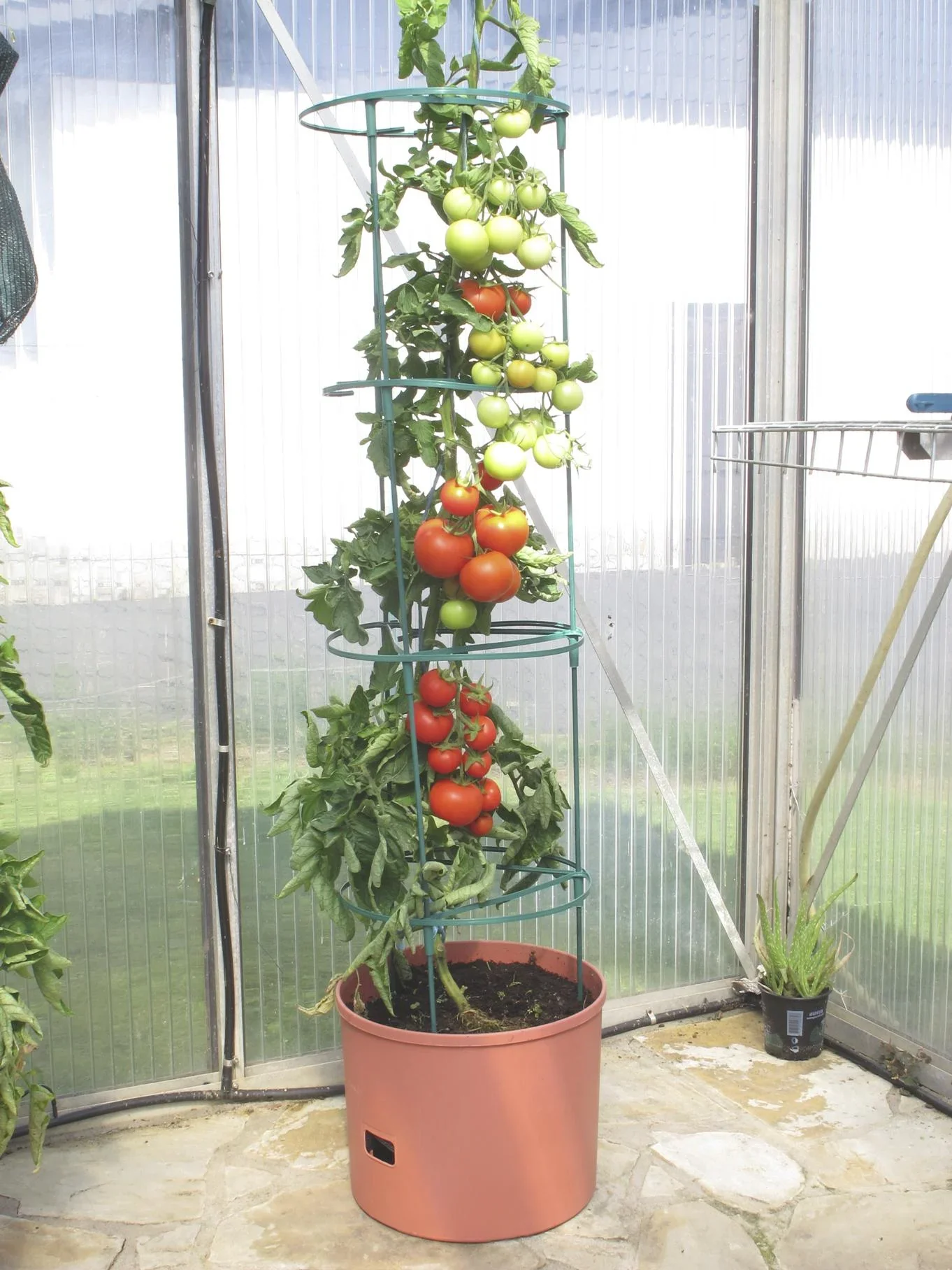 Pflanzturm "Maxitom Jumbo", terrakotta, 1 Stück - 3