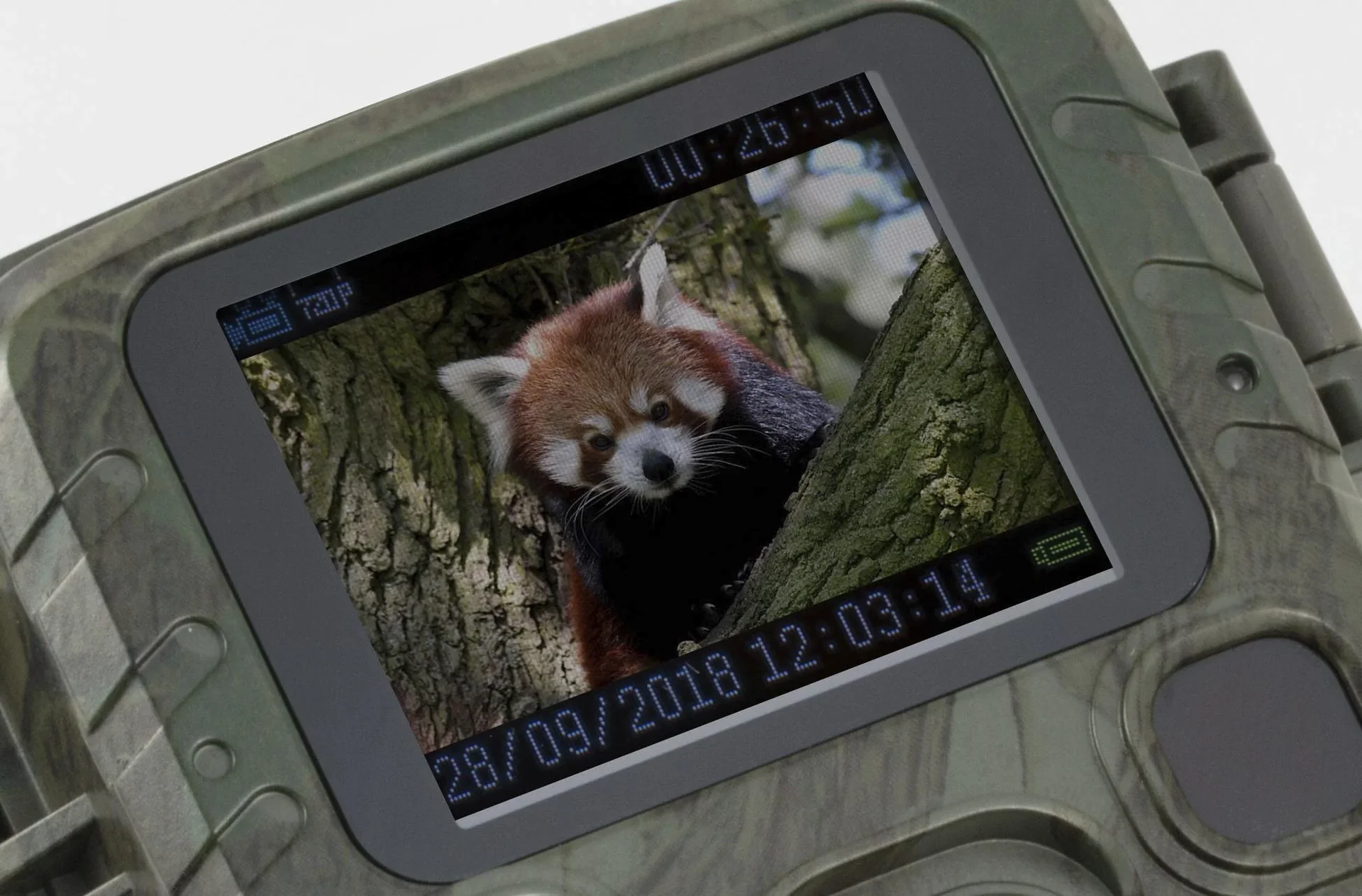 Mini Wildkamera Full HD Videoauflösung mit Nachtsicht - 0