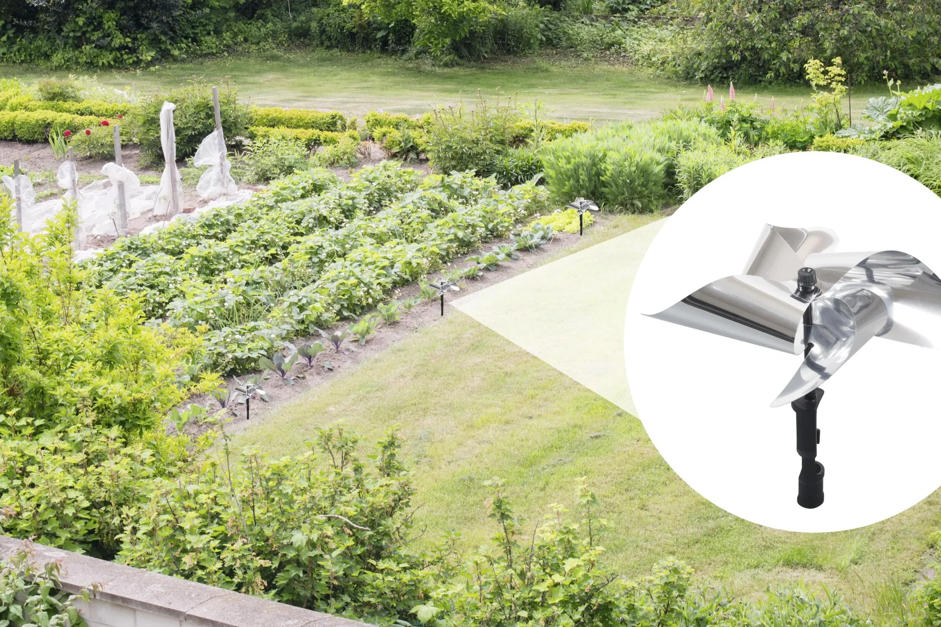 Vogel - Frei Windmühle - 3