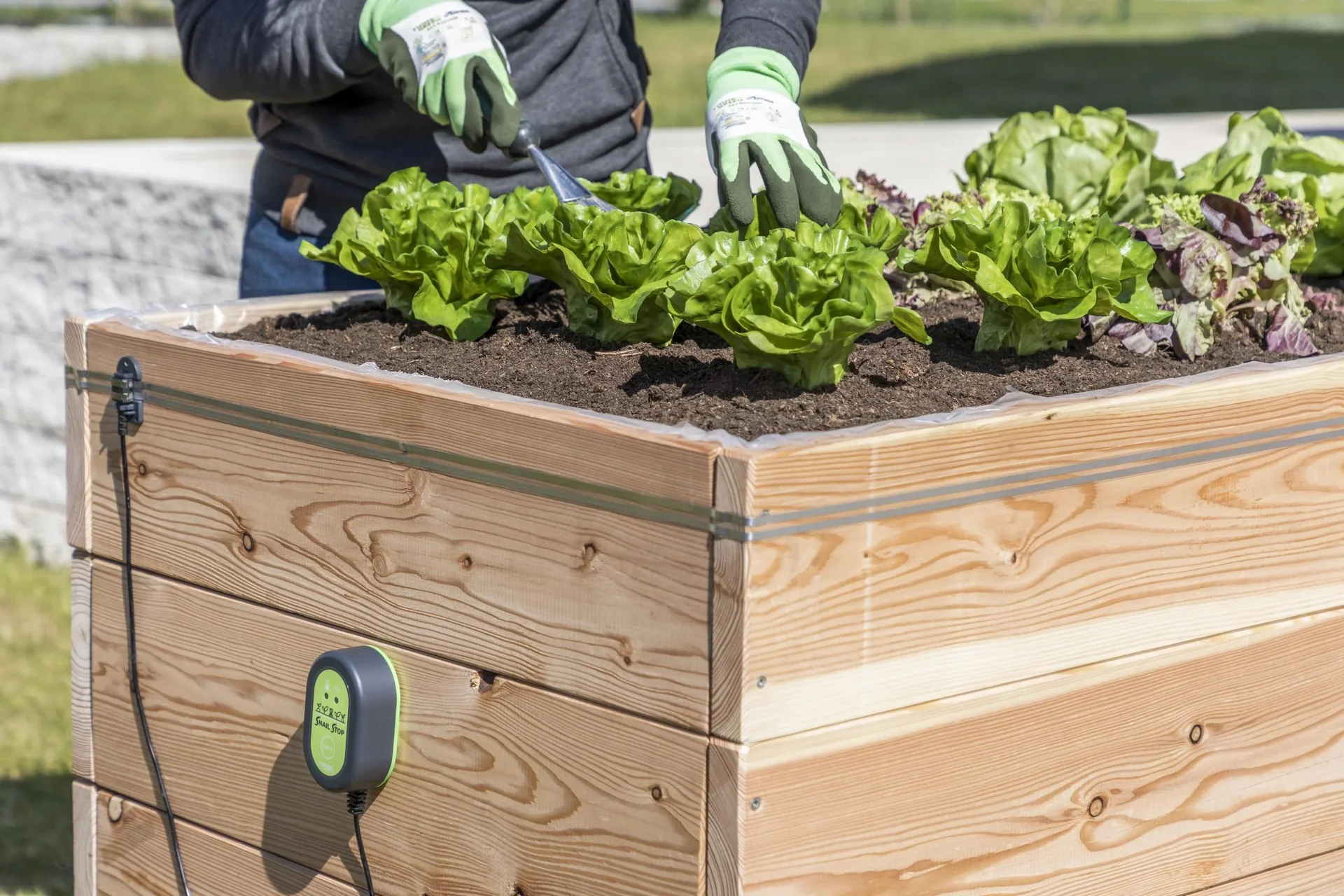 SnailStop Starter-Set, Elektrischer Schneckenzaun - 0