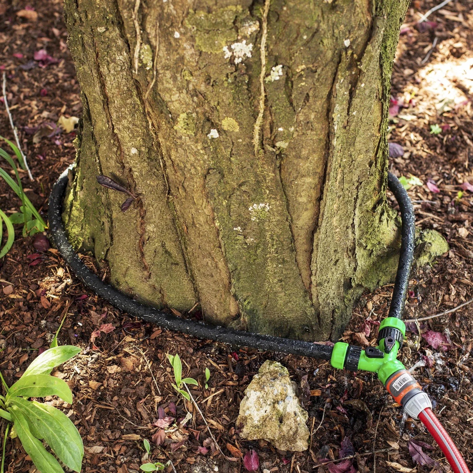 Bewässerungsring Tropfschlauch - 0