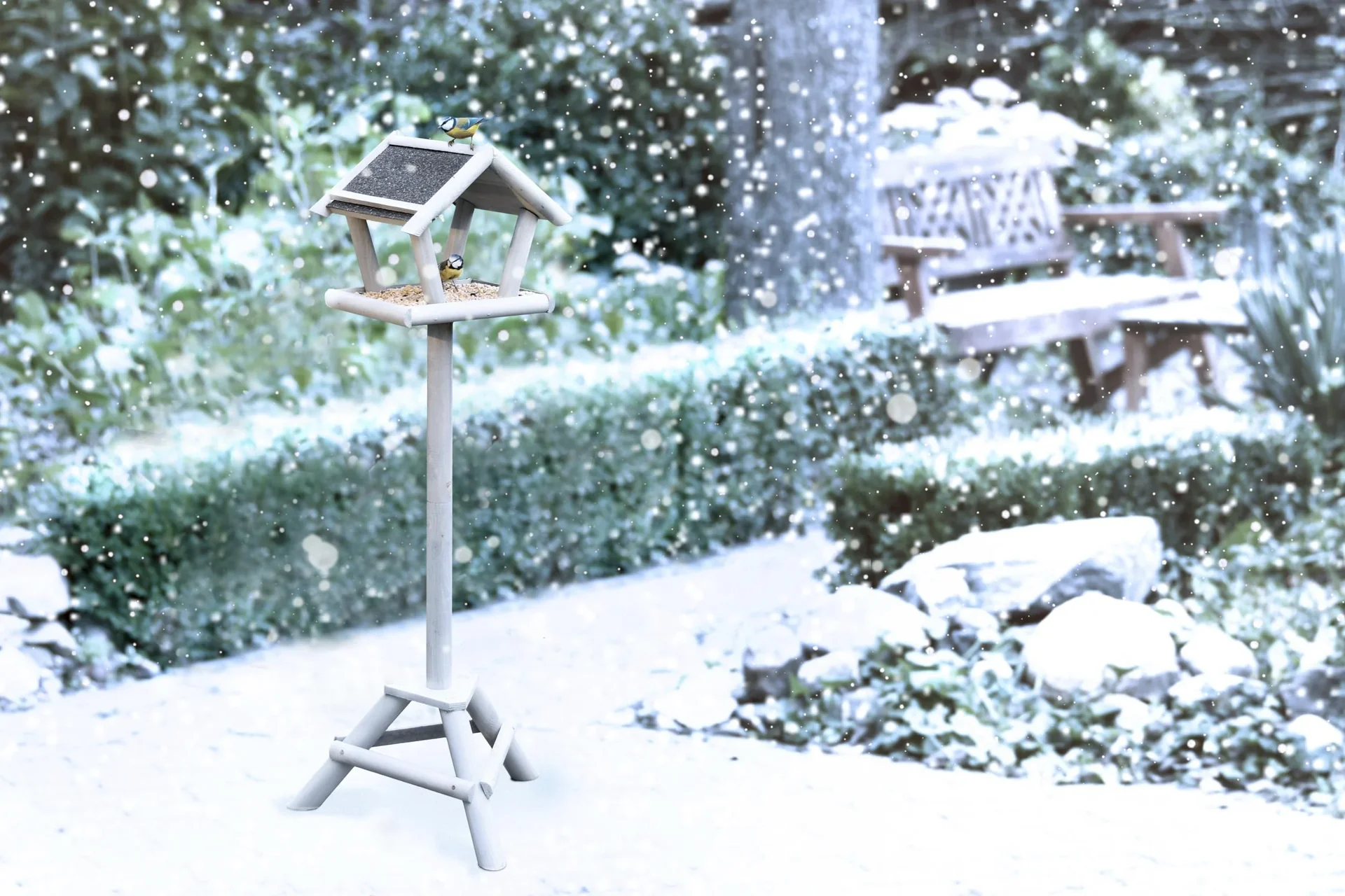 Schweden Vogelfutterhaus Set mit Streu Futter 1 kg - 4