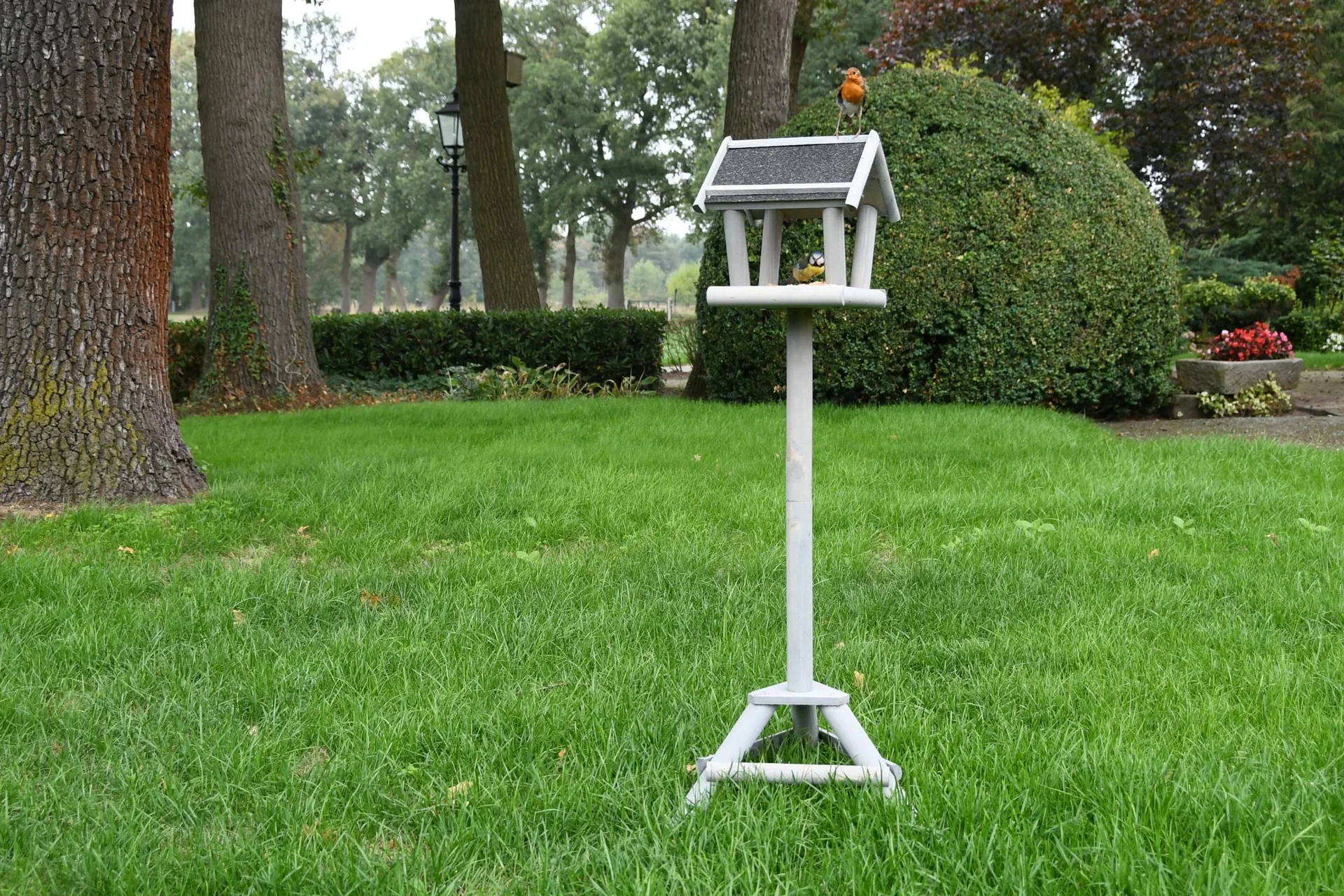 Schweden Vogelfutterhaus Set mit Streu Futter 1 kg - 6