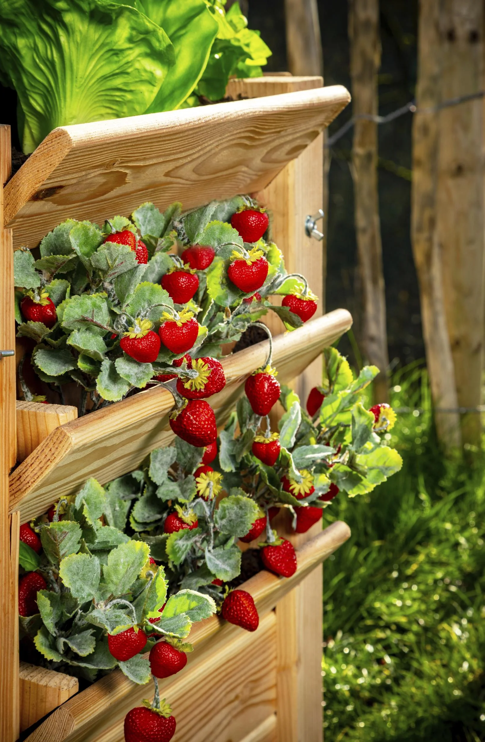Premium Hochbeet XXL, 124 x 91 x 73 cm - 8