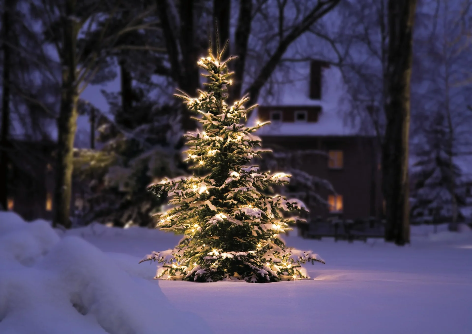 Kabellose Christbaumkerzen für den Innen- und Außenbereich, 15 Stück mit Fernbedienung - 0