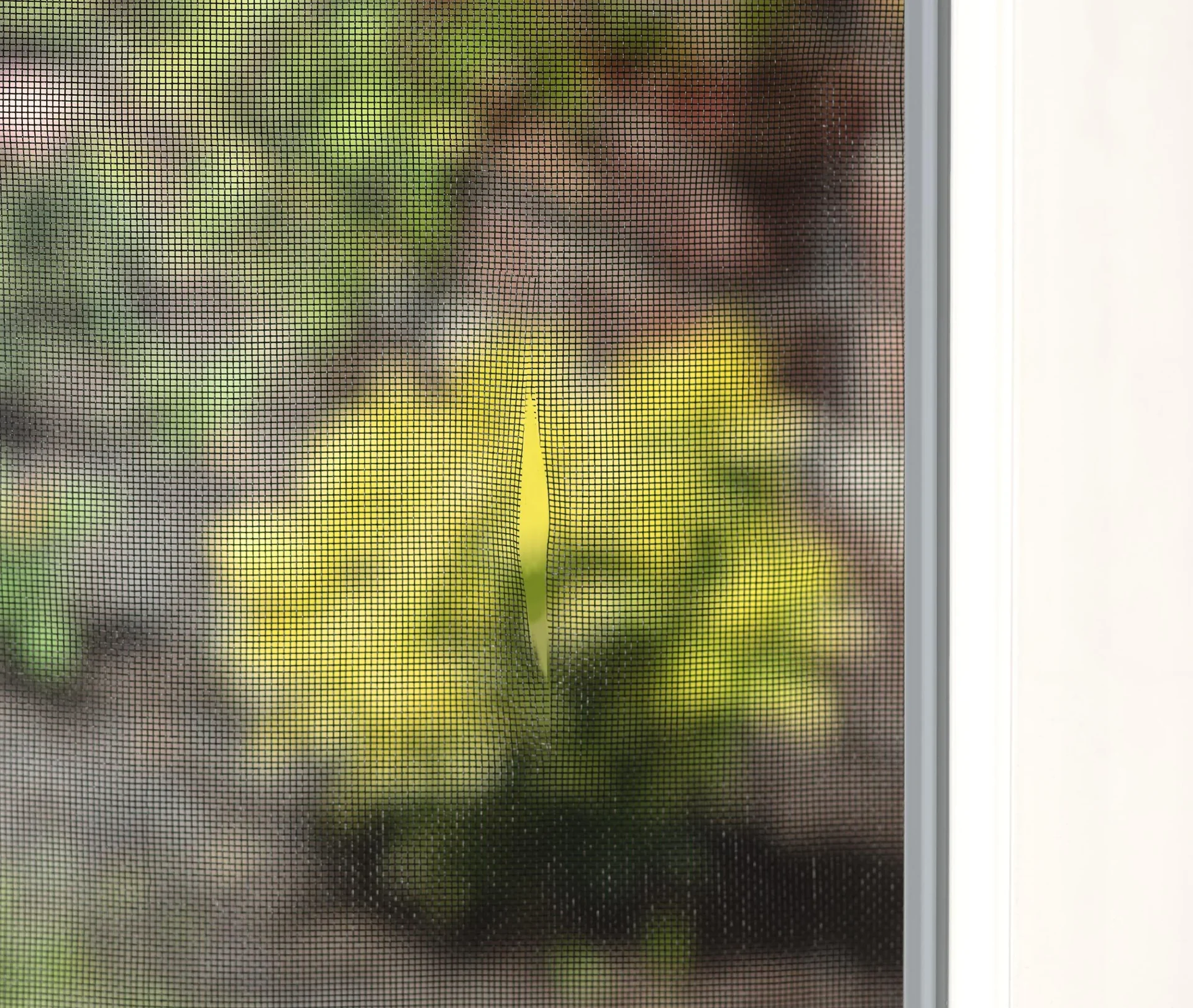 Insektengitter-Reparaturband , grau - 1