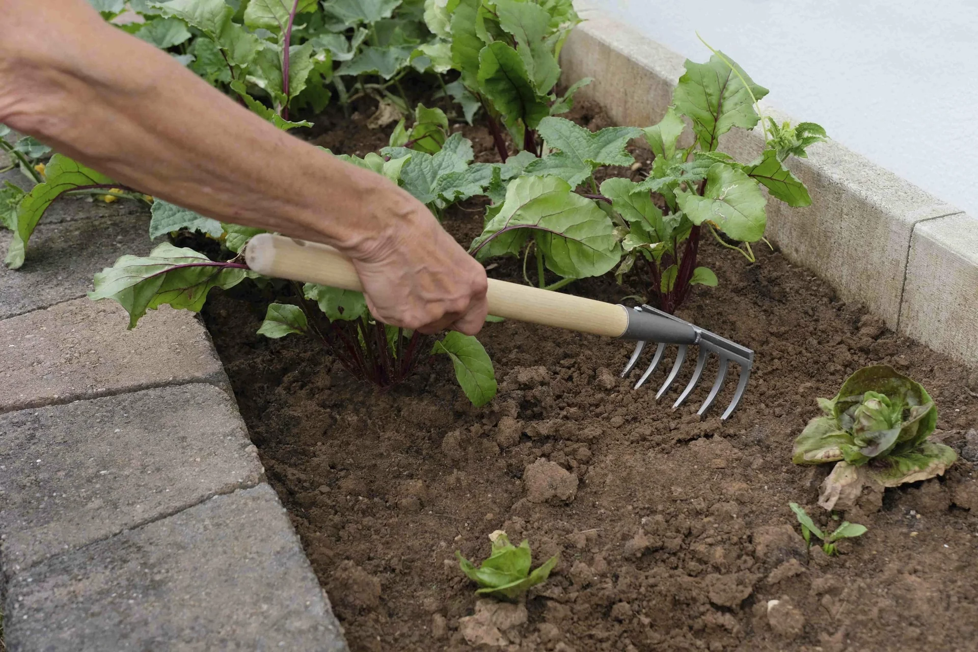 Hochbeet Rechen "66363" - 0