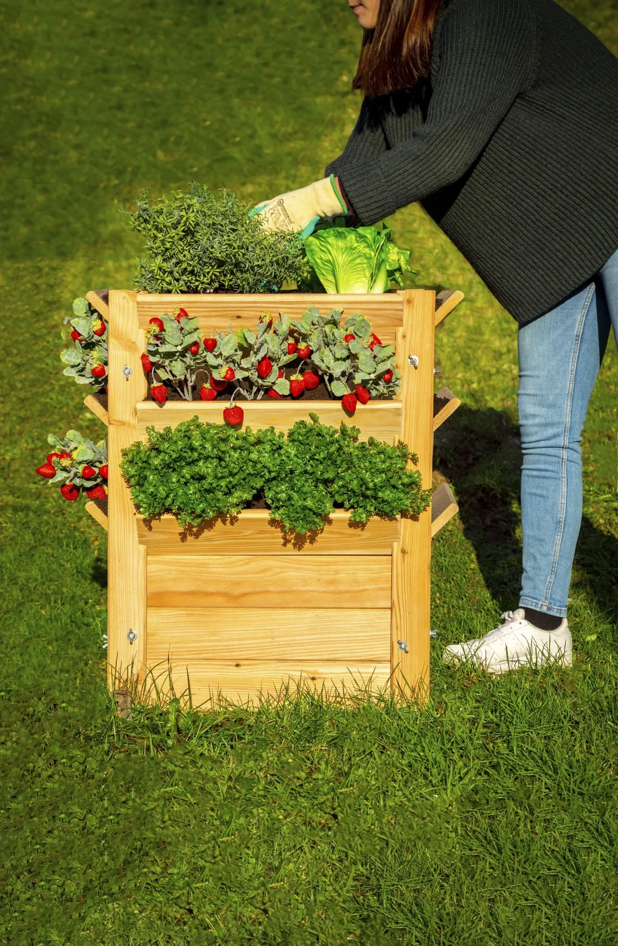 Premium Hochbeet L, 65 x 65 x 73 cm - 5