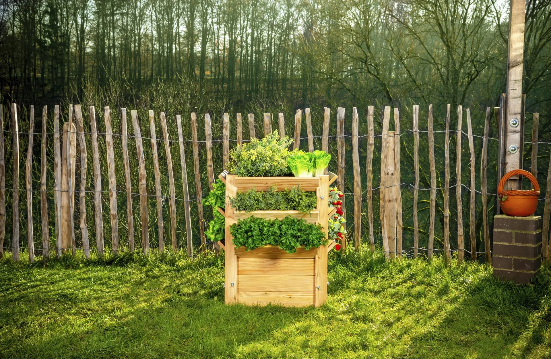 Premium Hochbeet L, 65 x 65 x 73 cm - 9