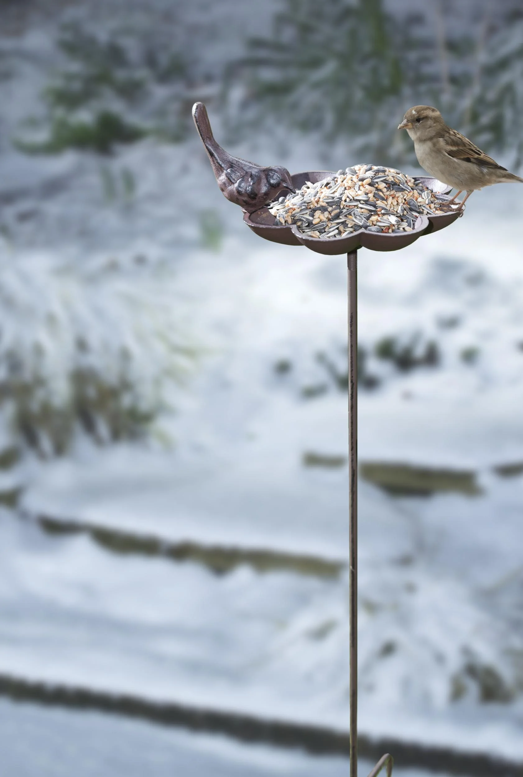 Vogeltränke mit Erdspieß, Gusseisen, Vogeldesign - 0