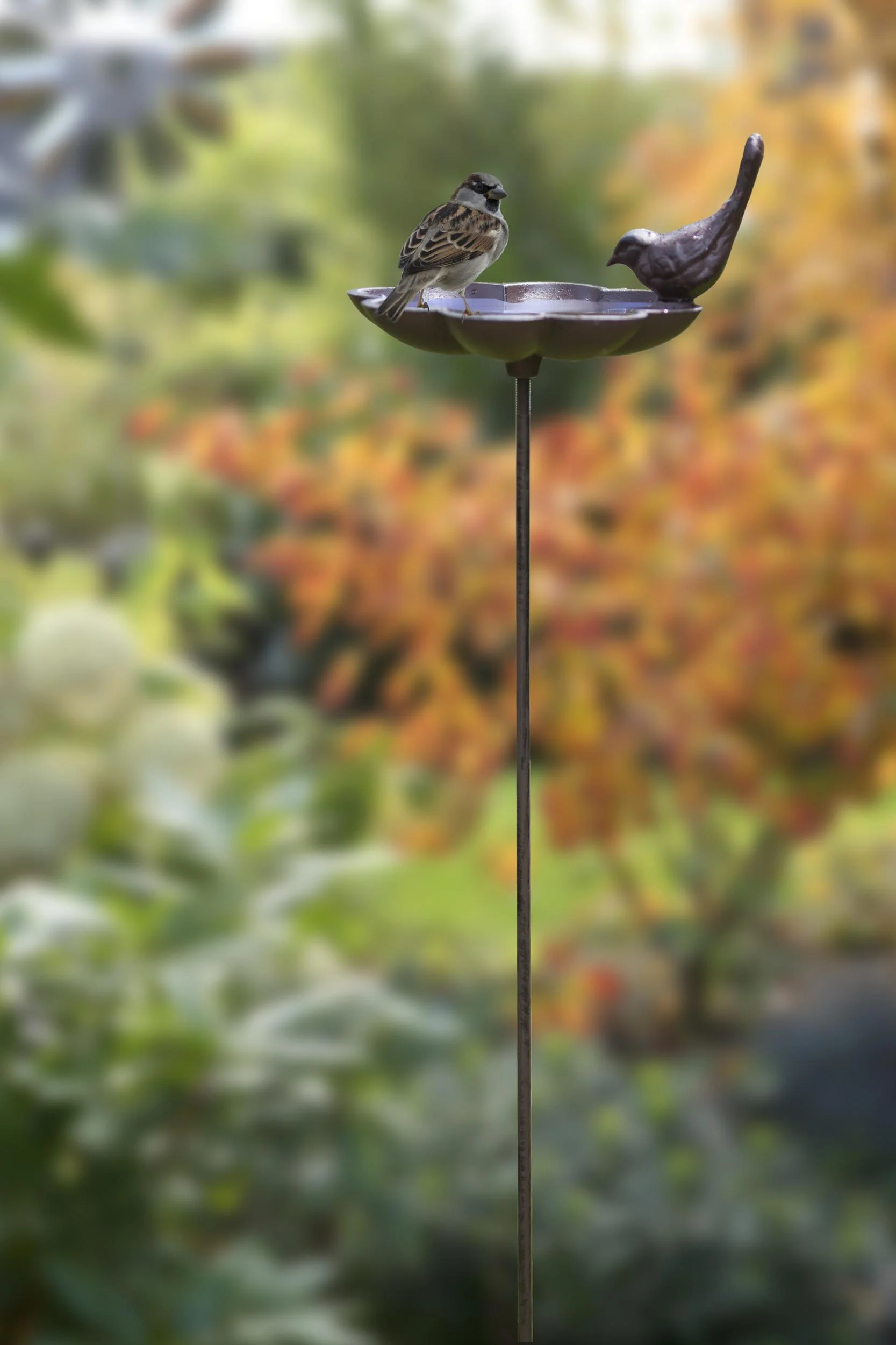 Vogeltränke mit Erdspieß, Gusseisen, Vogeldesign - 3