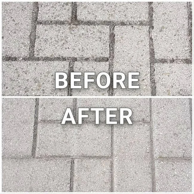 MAXXBRUSH MULTI-REINBÜRSTE 1020W / 800 - 1300 U/min Bürste: 26 x Ø 12 cm Teleskopgriff: 139 - 155 cm - 1