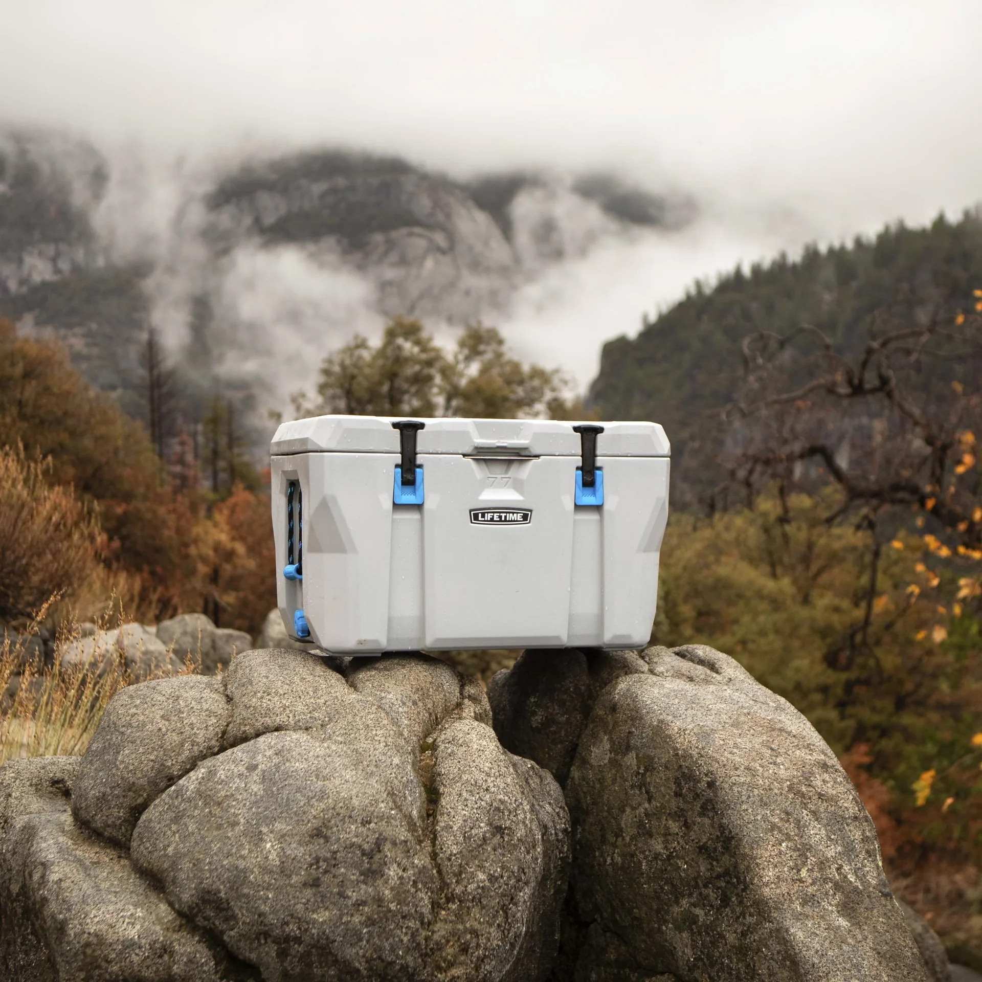 Kühlbox 73 Liter Volumen grau - 0