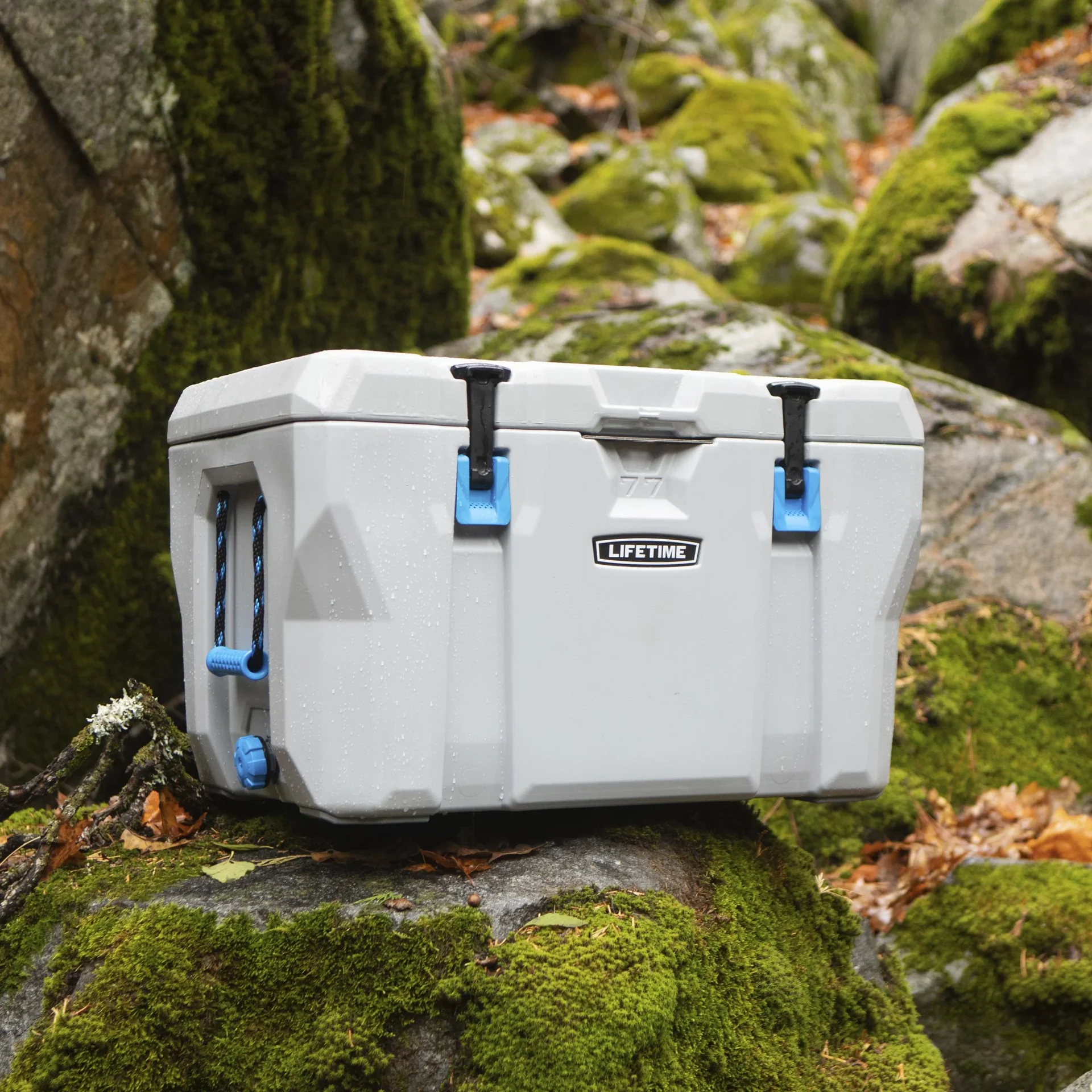 Kühlbox 73 Liter Volumen grau - 9