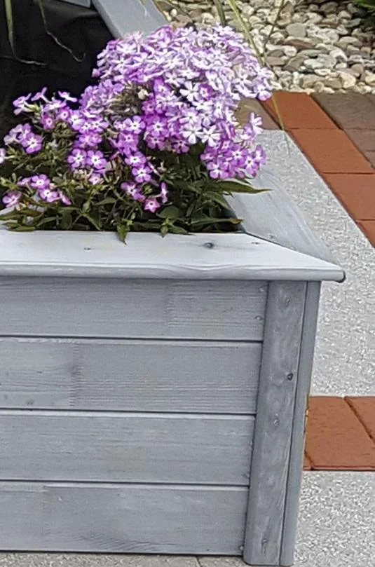 Hochteich mit 4 seitlichen Pflanzzonen, grau - 2