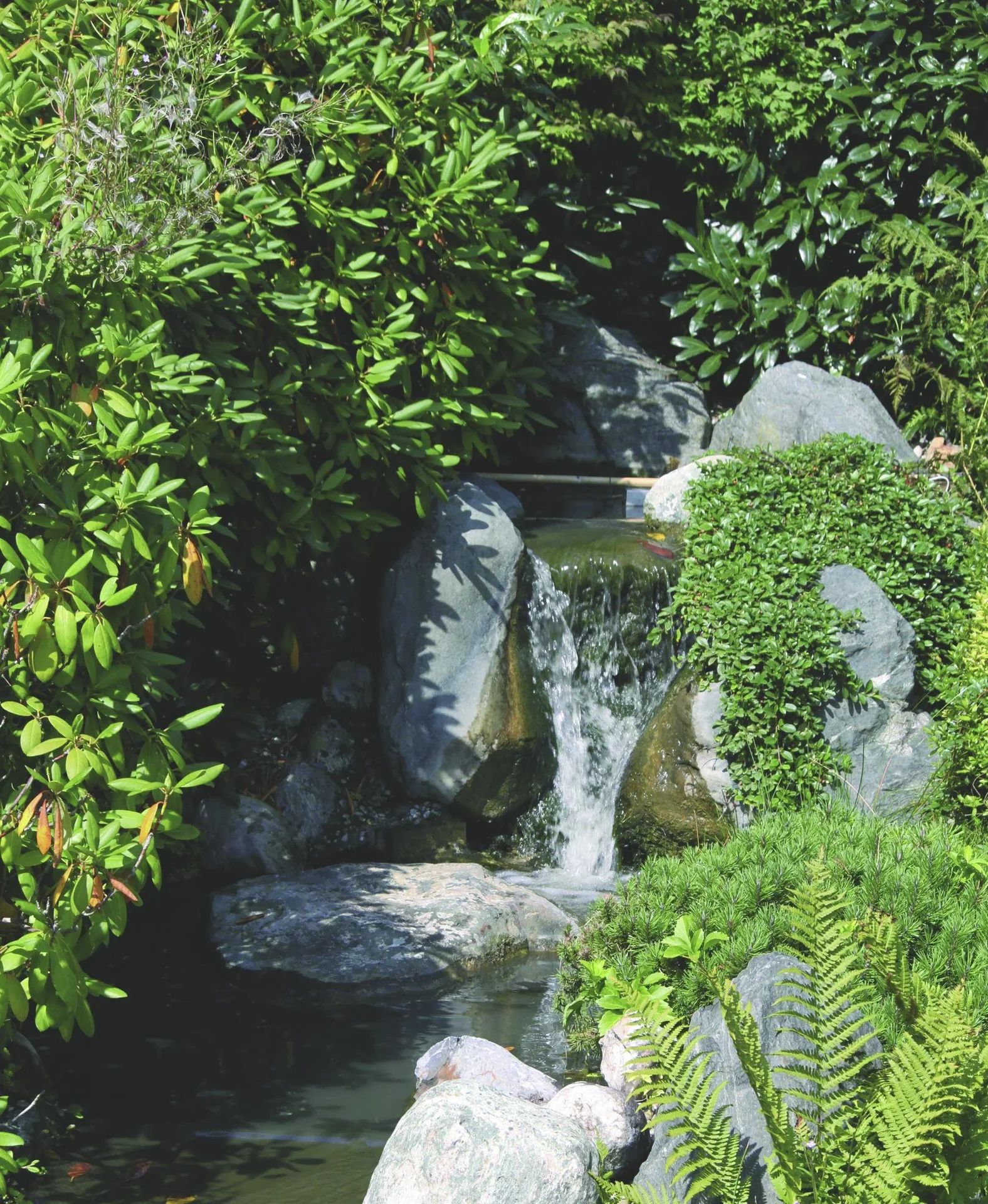 Solar Bachlaufpumpensystem "Garda" - 2