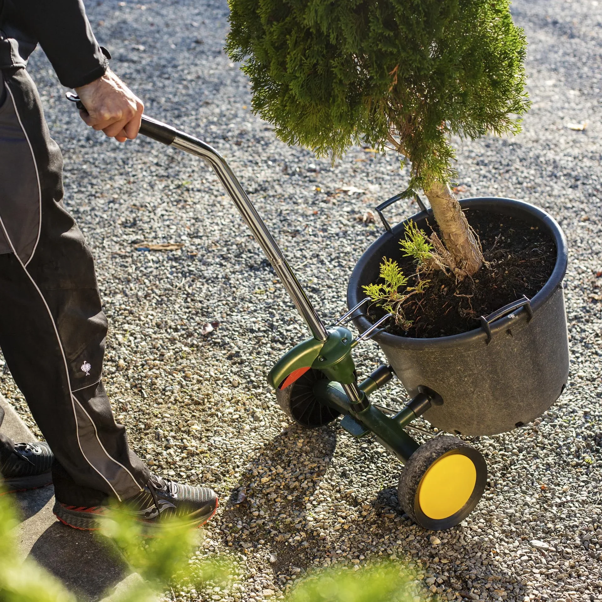 Topf- und Kistentrolley - 2