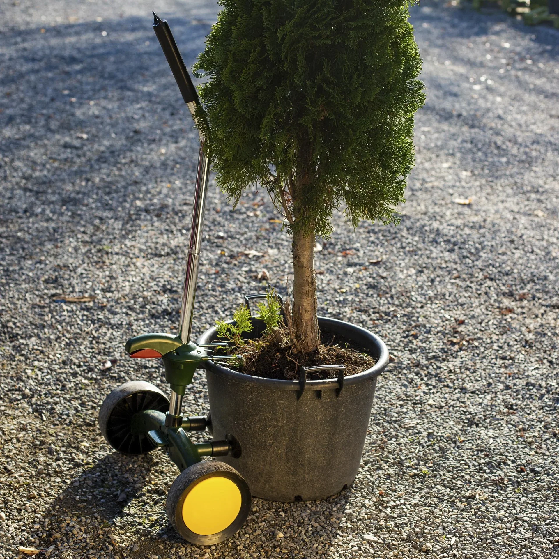 Topf- und Kistentrolley - 8