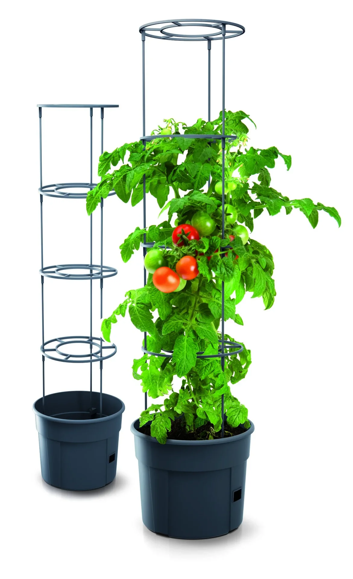 Anzuchttopf für Tomaten "Grow 1", Ø 295 mm, anthrazit - 0