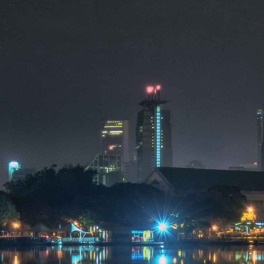 VT-4021 20W Strahler mit blauem Licht - IP65 - Atmosphärische Beleuchtung - 0