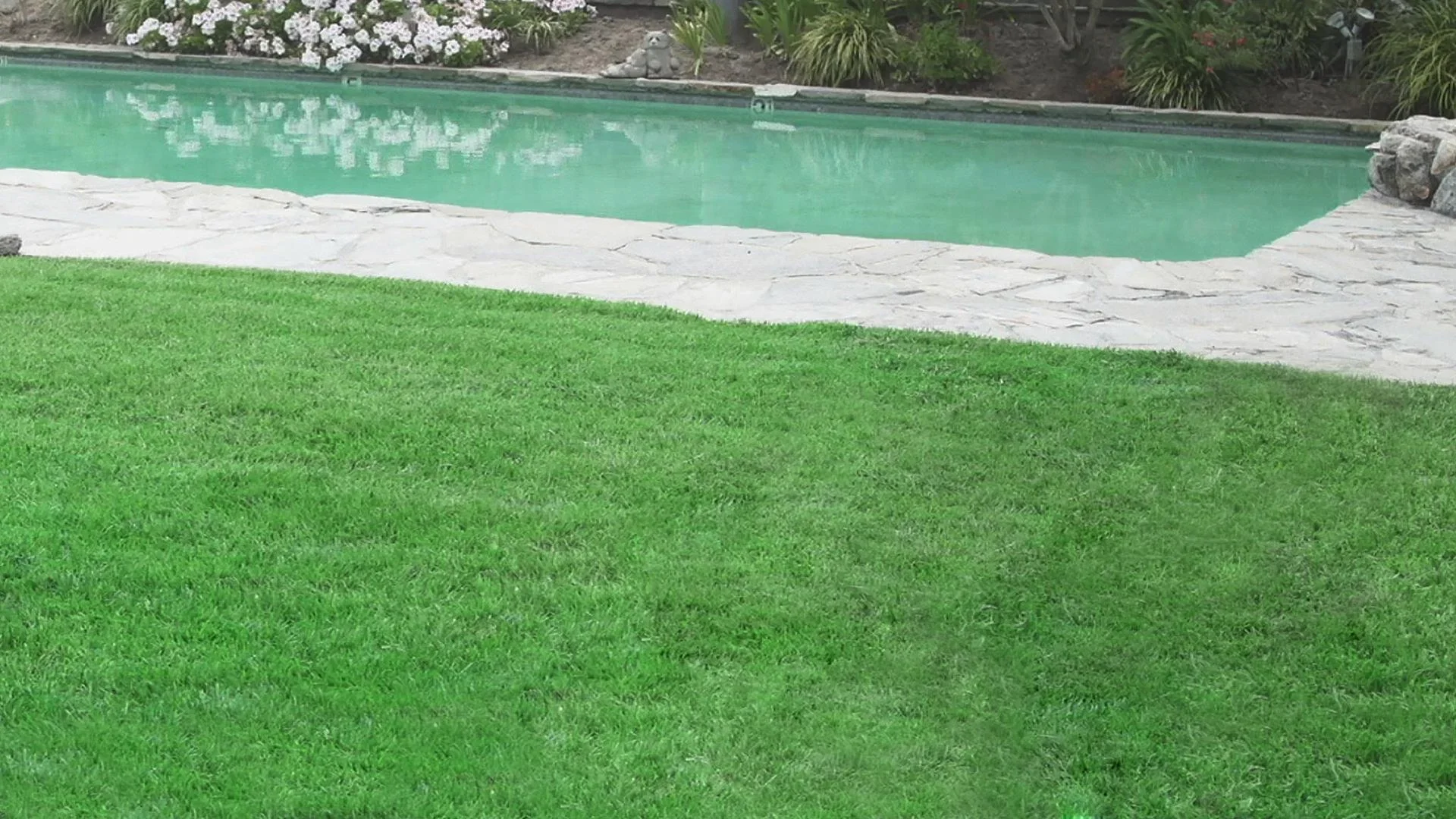 Hydro Mousse - Begrünungssystem Rasennachsaat - 0