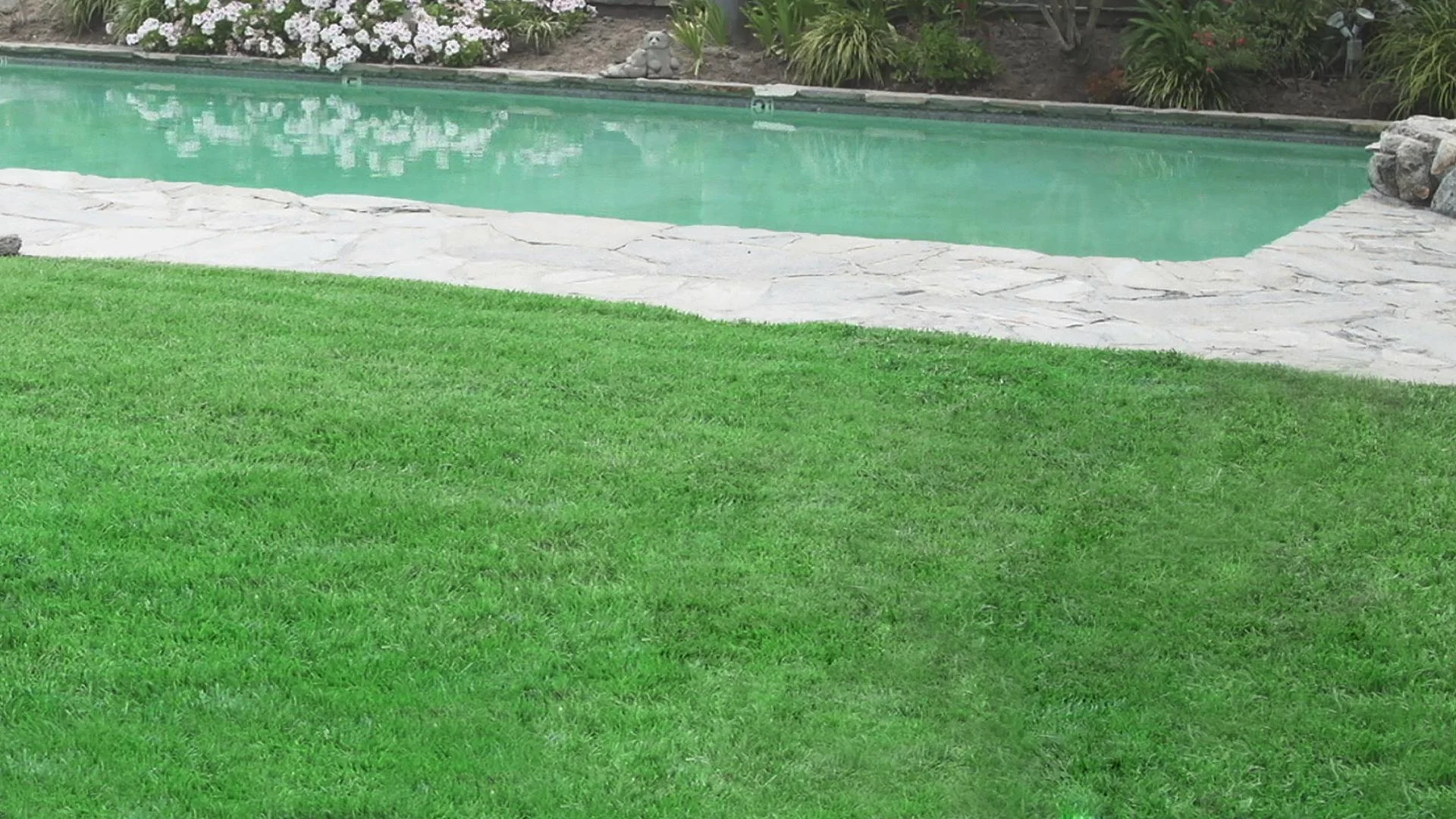 Hydro Mousse - Begrünungssystem Rasennachsaat - 0