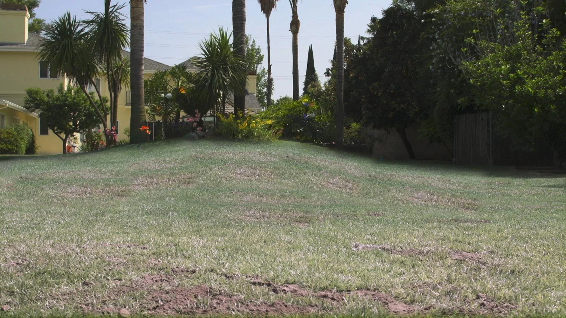 Hydro Mousse - Begrünungssystem Rasennachsaat - 1