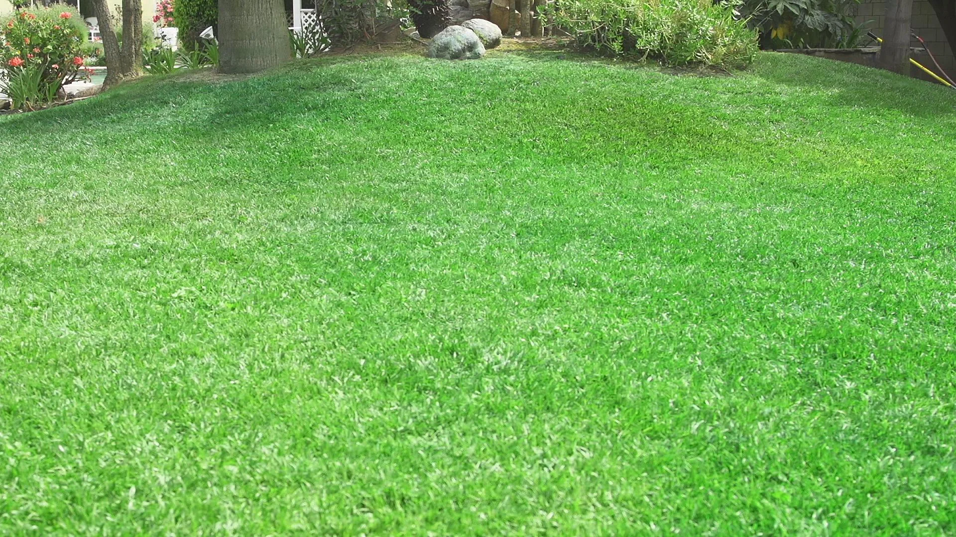 Hydro Mousse - Begrünungssystem Rasennachsaat - 4