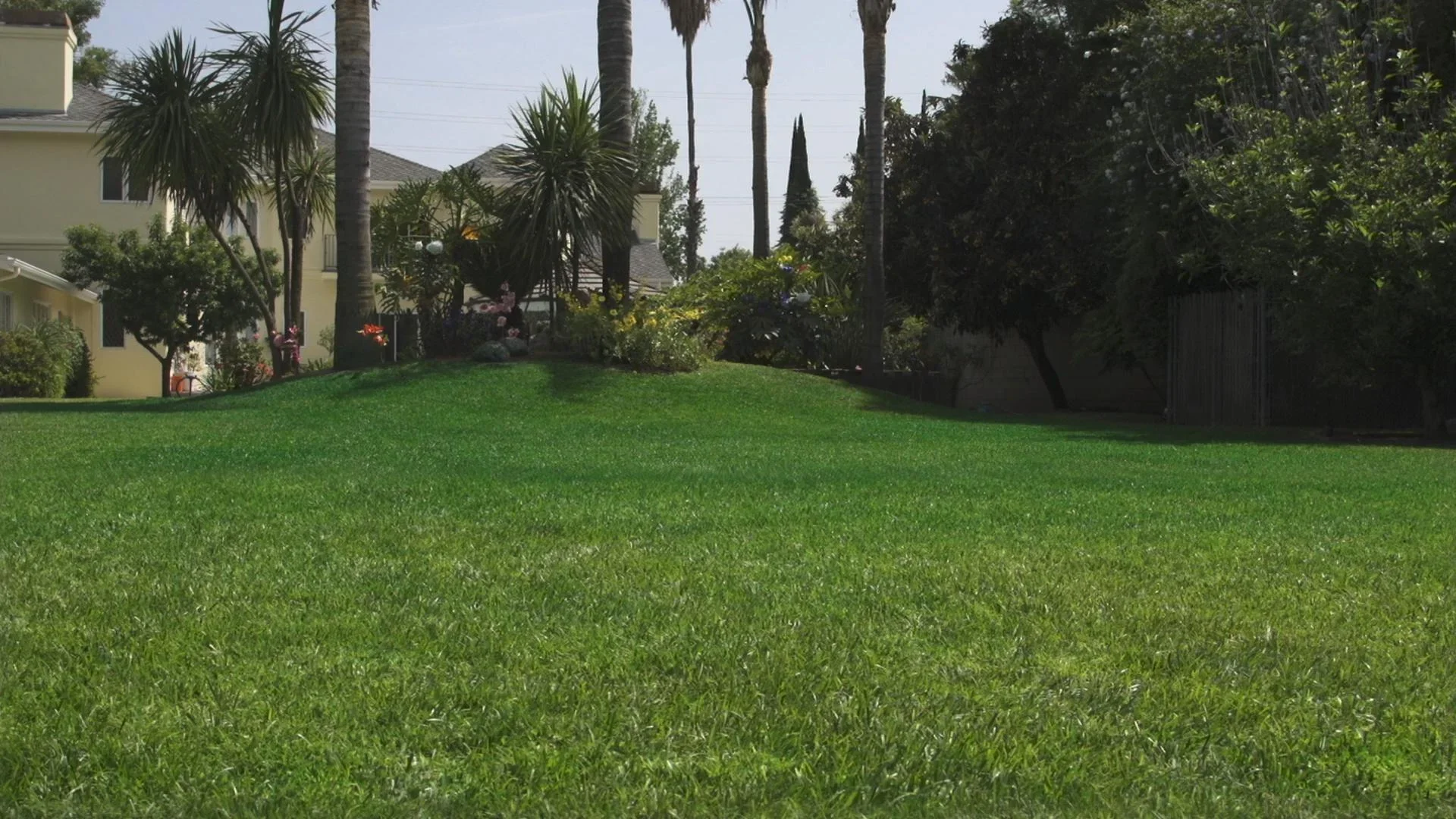 Hydro Mousse - Begrünungssystem Rasennachsaat - 9