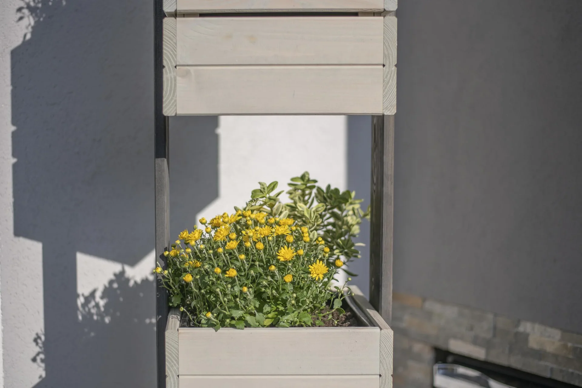 Pflanzkübel Maja - 1