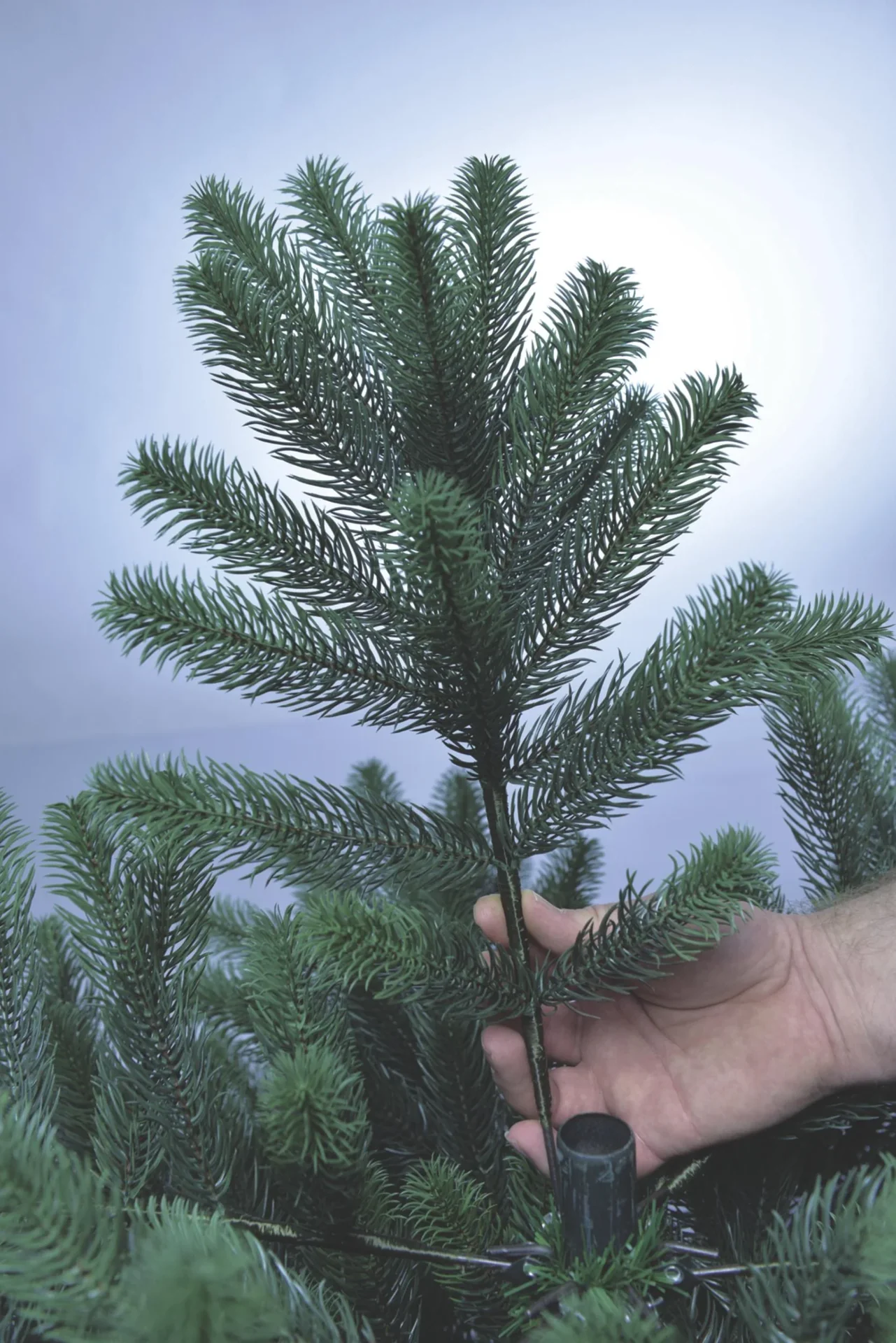 Weihnachtsbaum, 180 cm, Aufbauhöhe 85 - 180 cm, inkl. Standfuß - 5