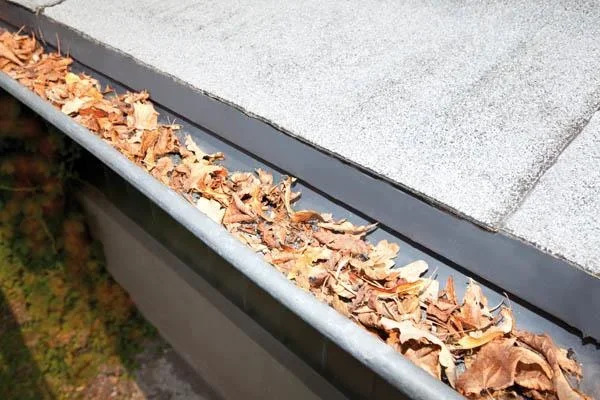 Rinnenigel, 4 m Länge, 120 mm Durchmesser - 0