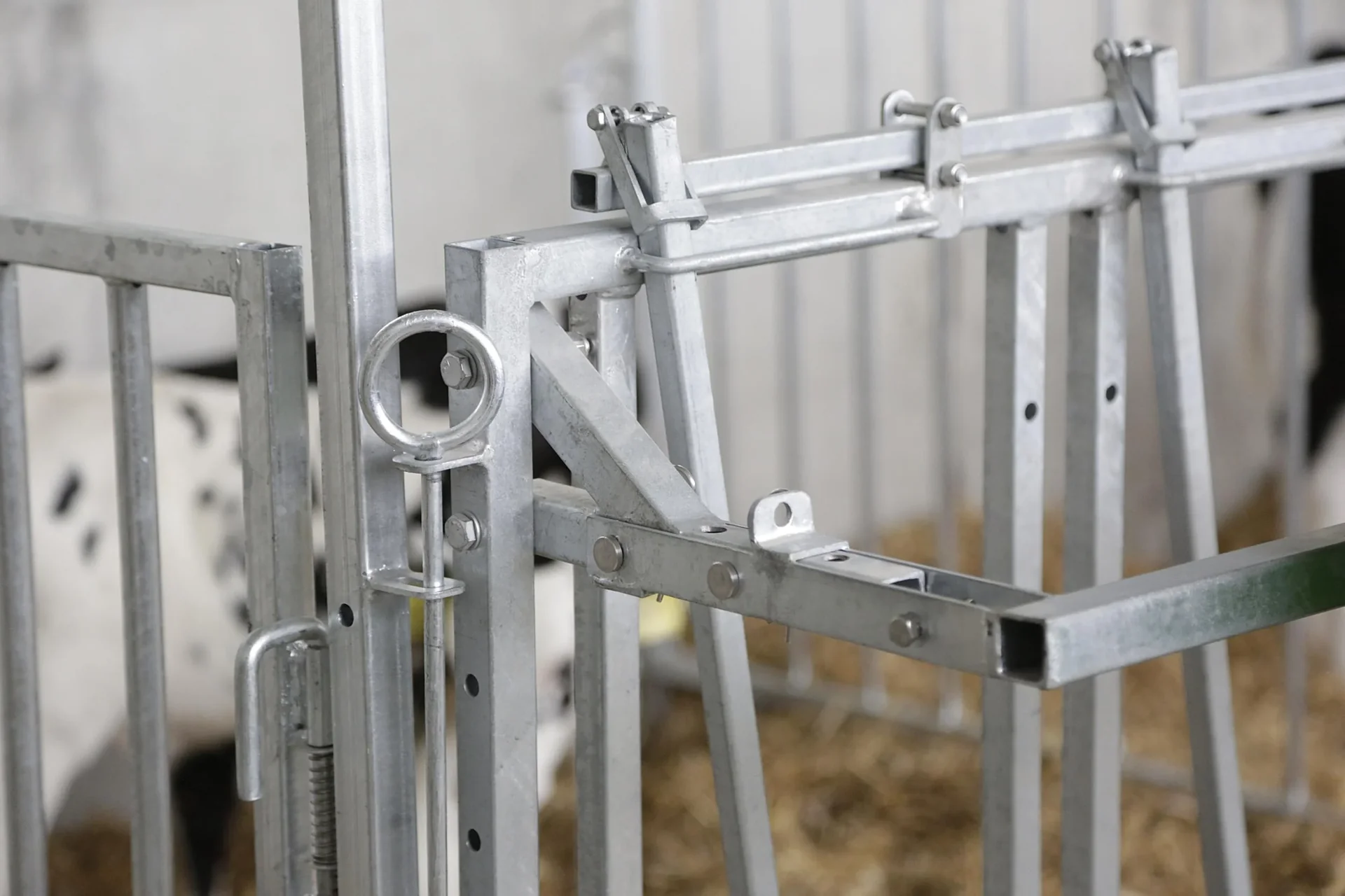 Zaunteil Gitter, kurz, für modulare Zaunaufstallung - 8