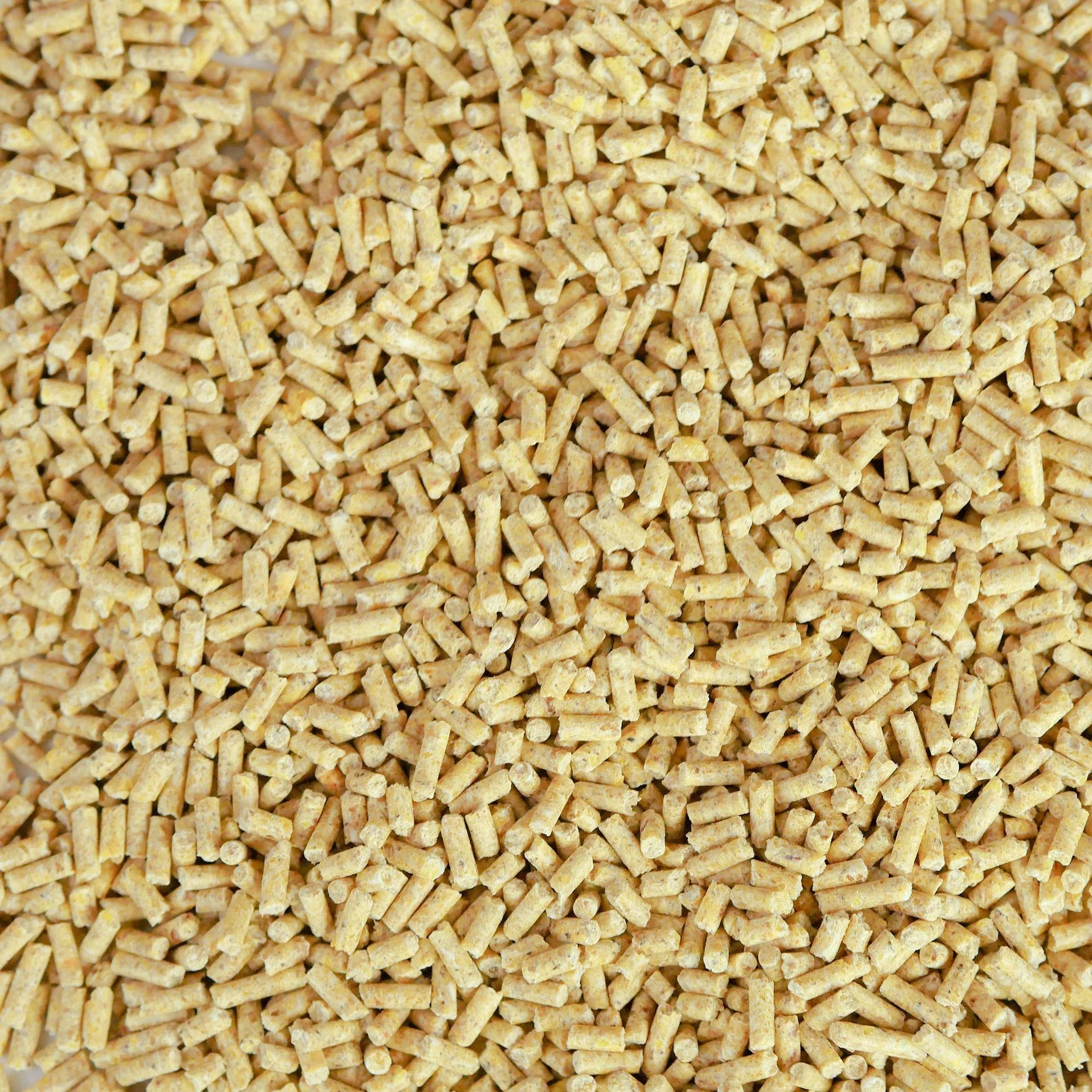 Kükenfutter Spezial, 5 kg - 2