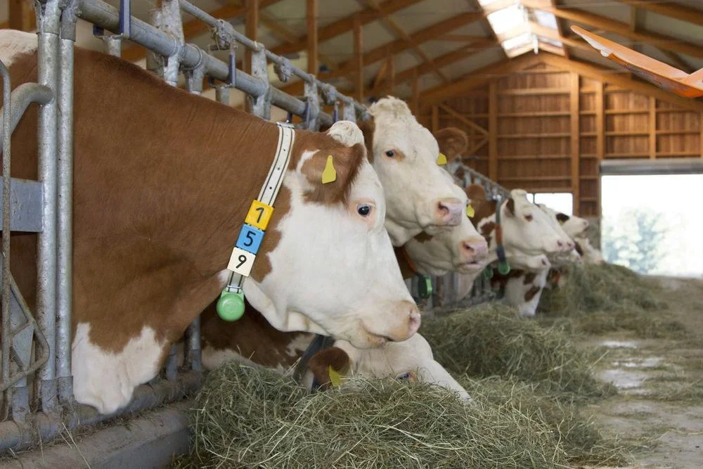 Nummernblock Duo, Nr. 9 - 6