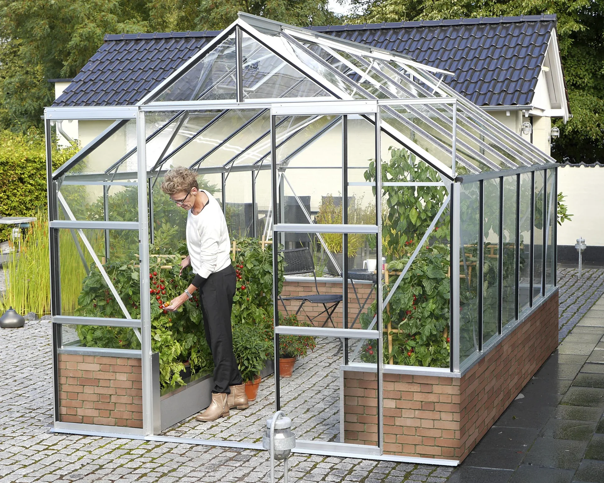 Gewächshaus Cassandra 9900 ESG 3 mm, Farbe alu - 0