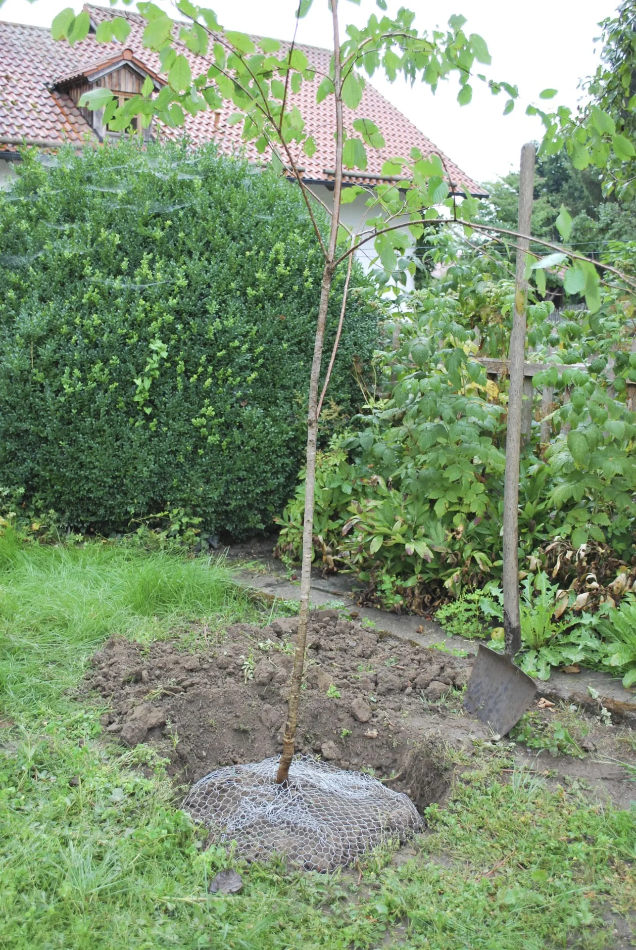 Wühlmauskorb klein, 40 cm hoch - 1