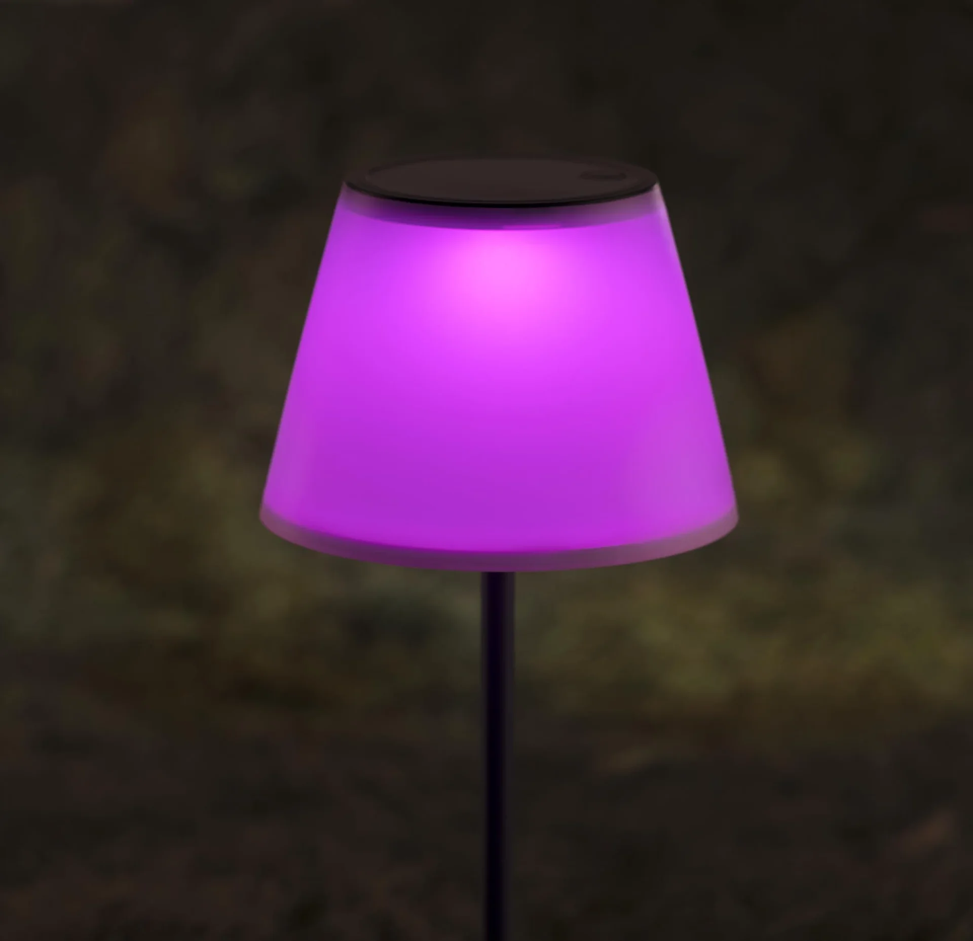 Solar Gartenleuchte 2in1 in warmweiß und Farbwechsel - 1