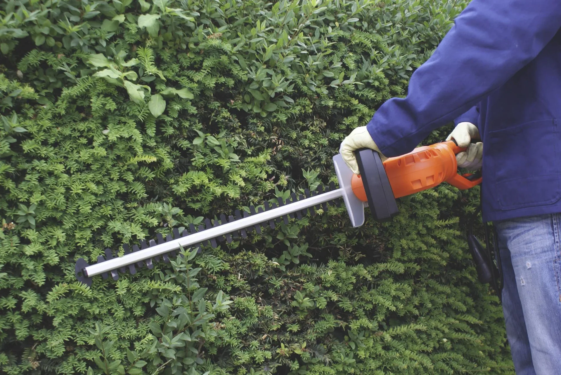 Elektro Heckenschere HA 710/61 - 0