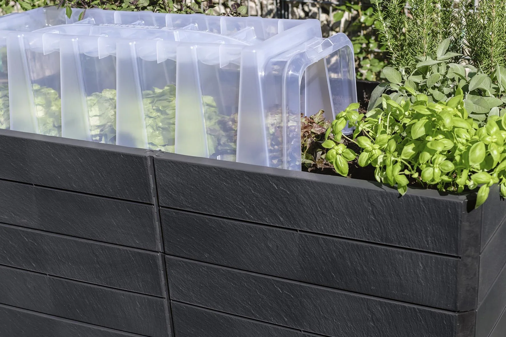 Hochbeet ERGO QUADRO 2 L 75 - 1