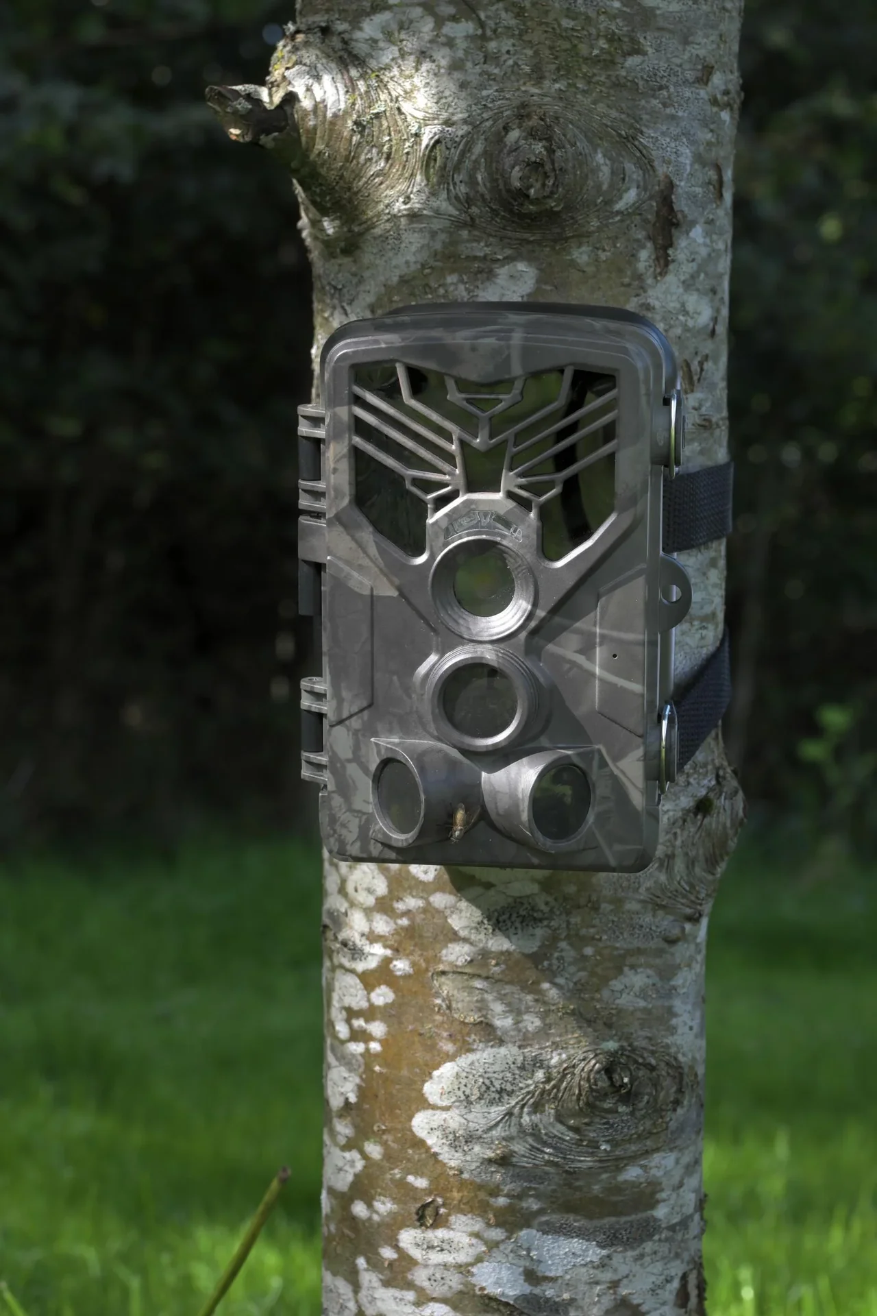 Wild- und Überwachungskamera mit WLAN, 8 MP CMOS-Sensor und Infrarotausleuchtung - 1