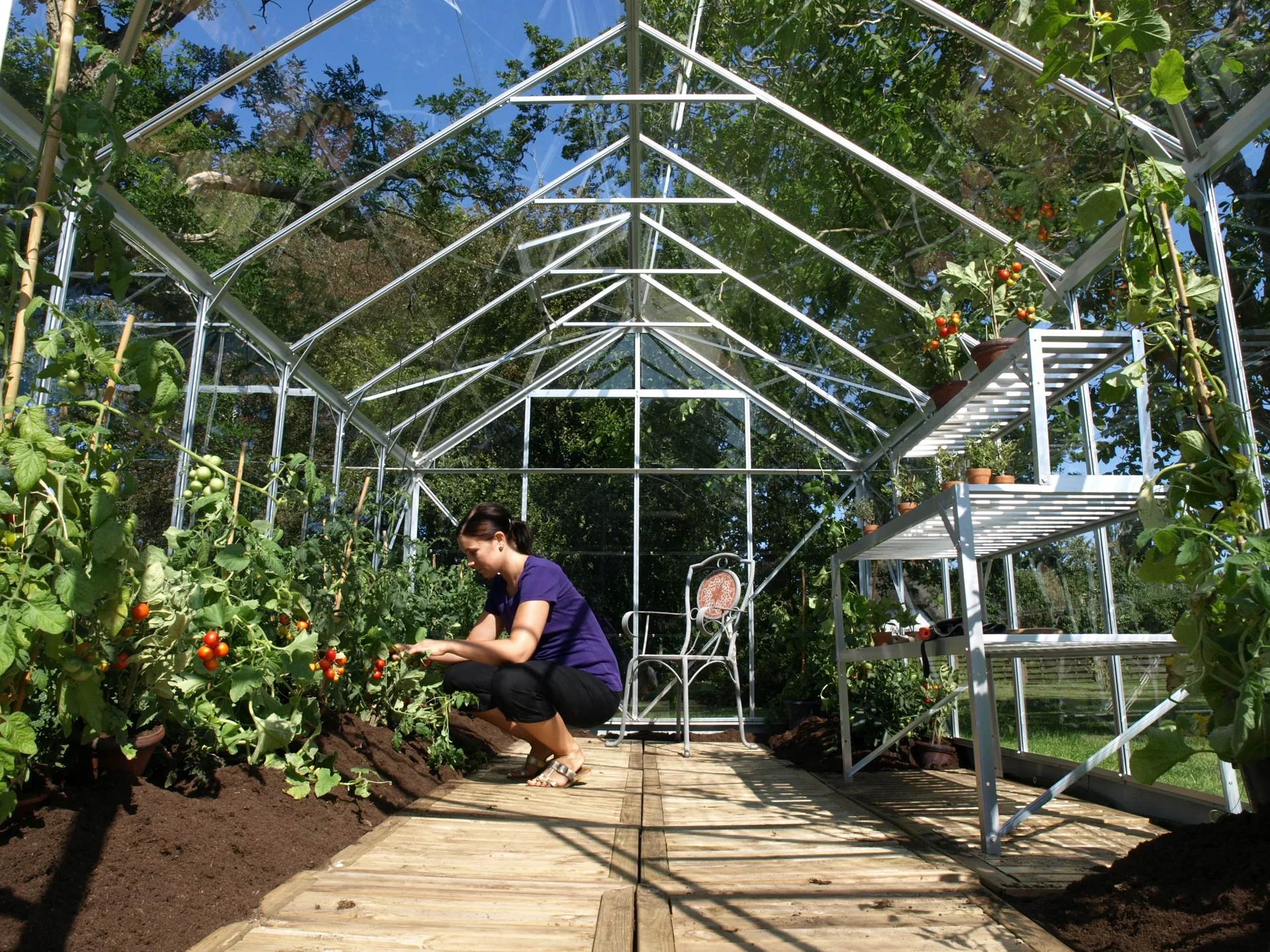 Gewächshaus Mars 9900 ESG 3 mm, Farbe alu - 0