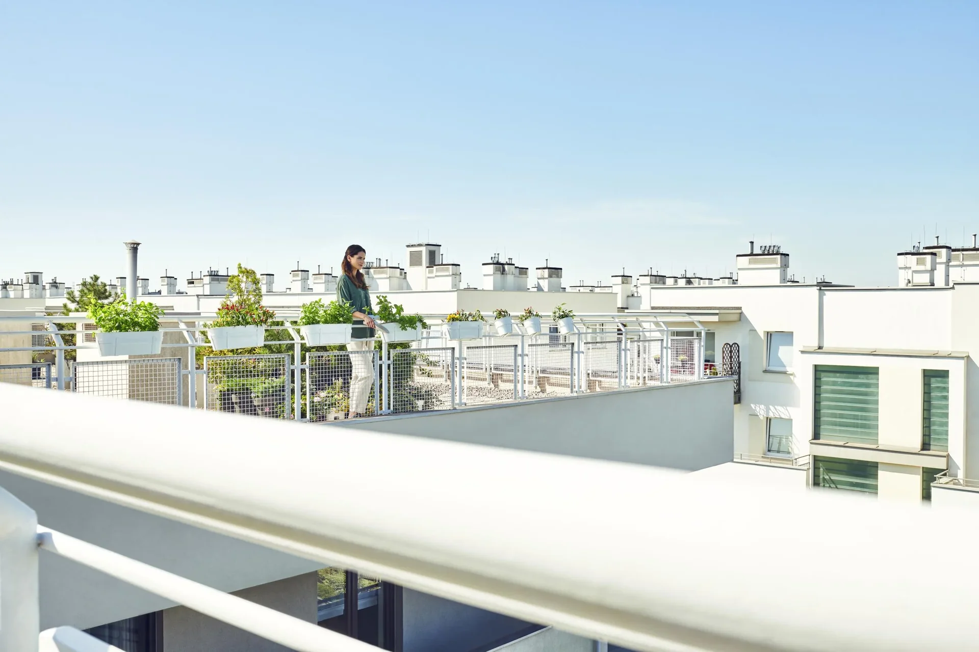 Gartenhandgeräte Satz, himmelblau - 6