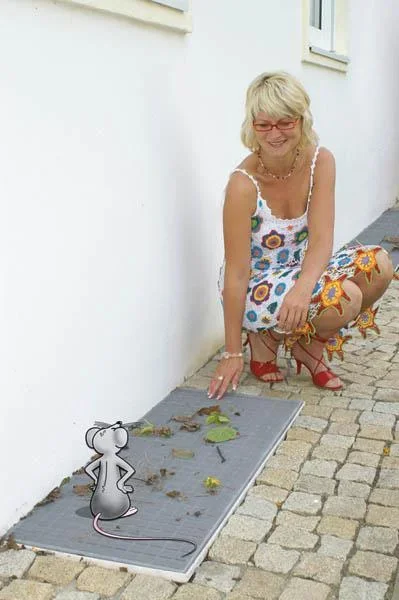 Schmutz- und Kleintier Abweiser für Lichtschächte, Fiberglasgewebe - 0