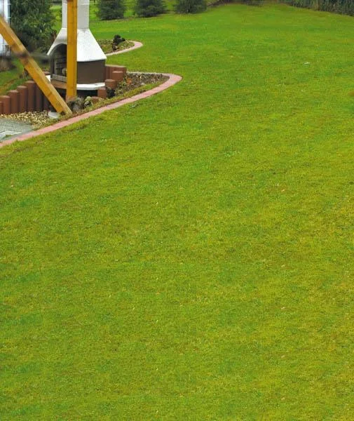 Rasenmäher Harke für Mäher mit Schnittbreite max. 32 cm - 0