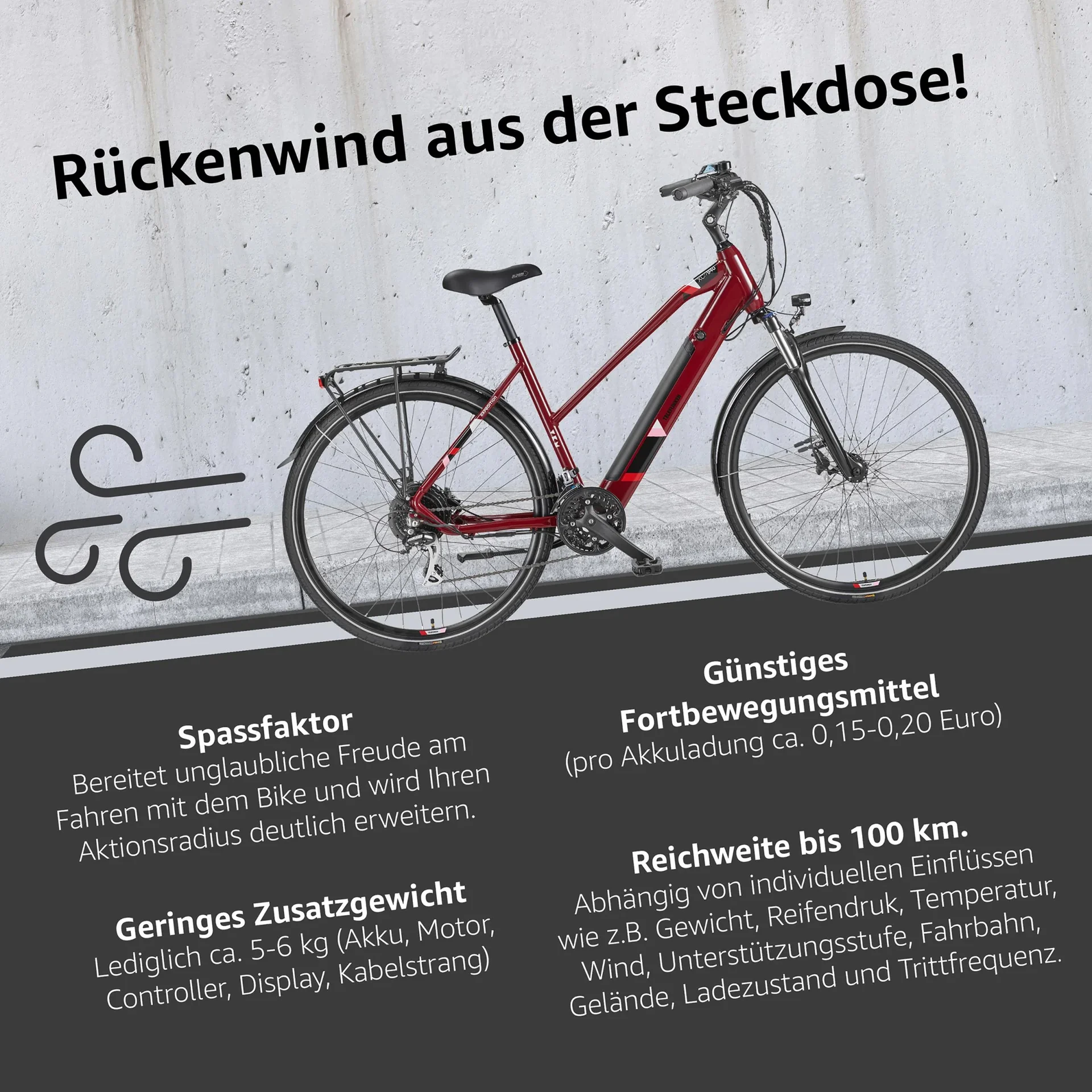 Damen Alu Trekking E-Bike, 28 Zoll, Rahmenhöhe 50 cm, 24-Gang Kettenschaltung, weinrot, XC940 Expedition, - 2