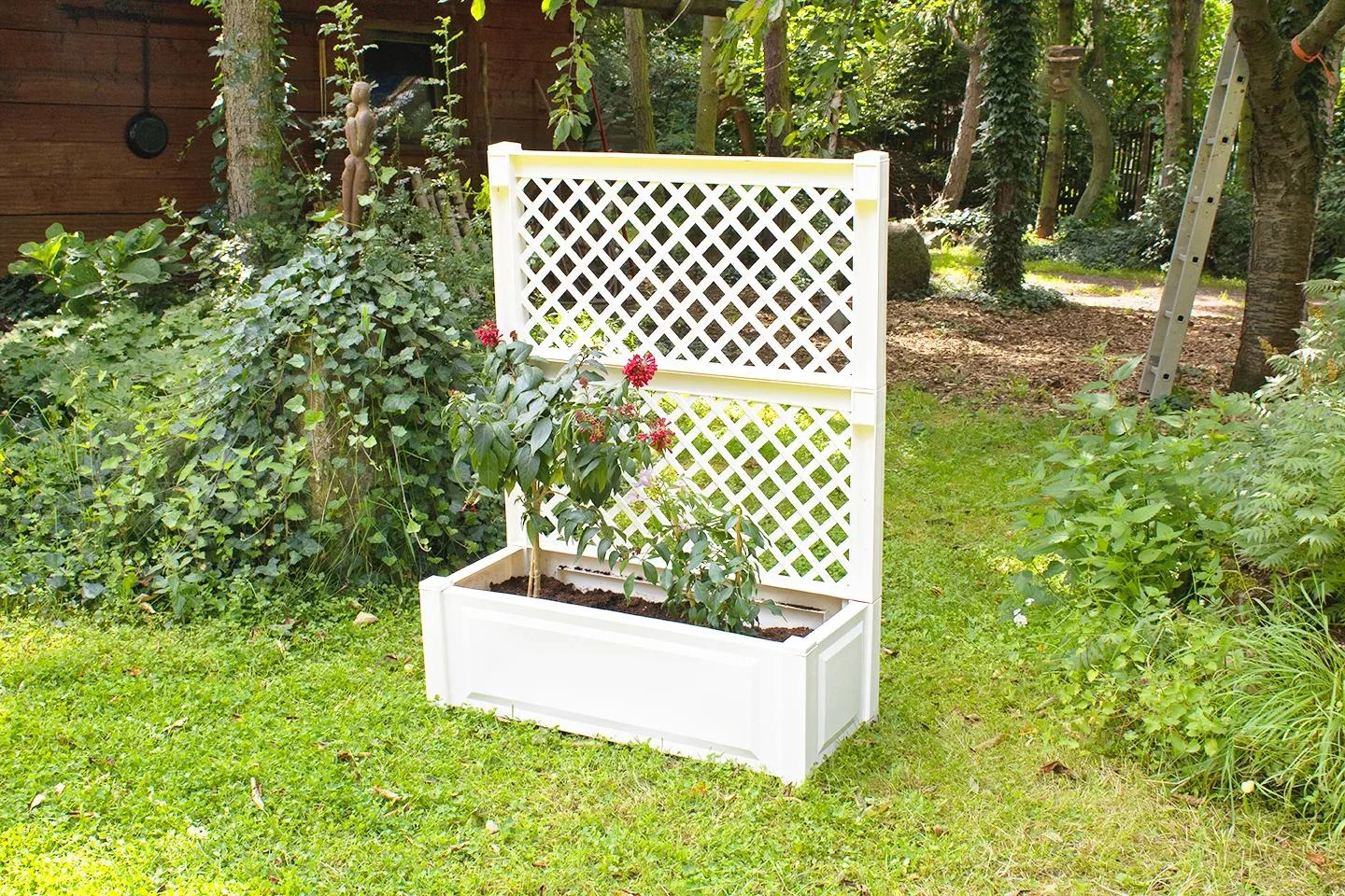 Pflanzkasten 100 cm + Spalier, weiß - 7
