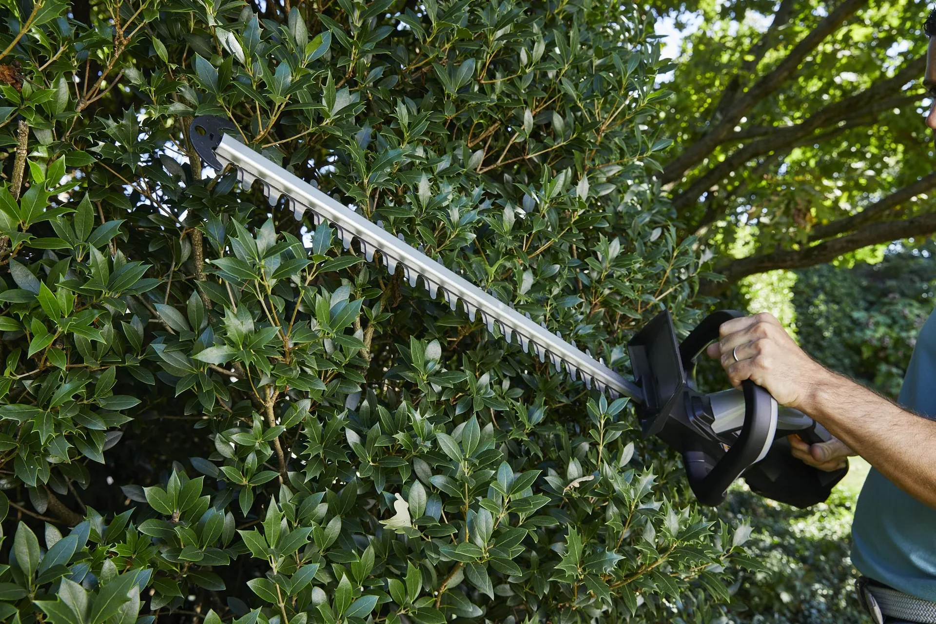 Akku-Heckenschere "AHT 20 Li", mit Akku und Ladegerät - 3